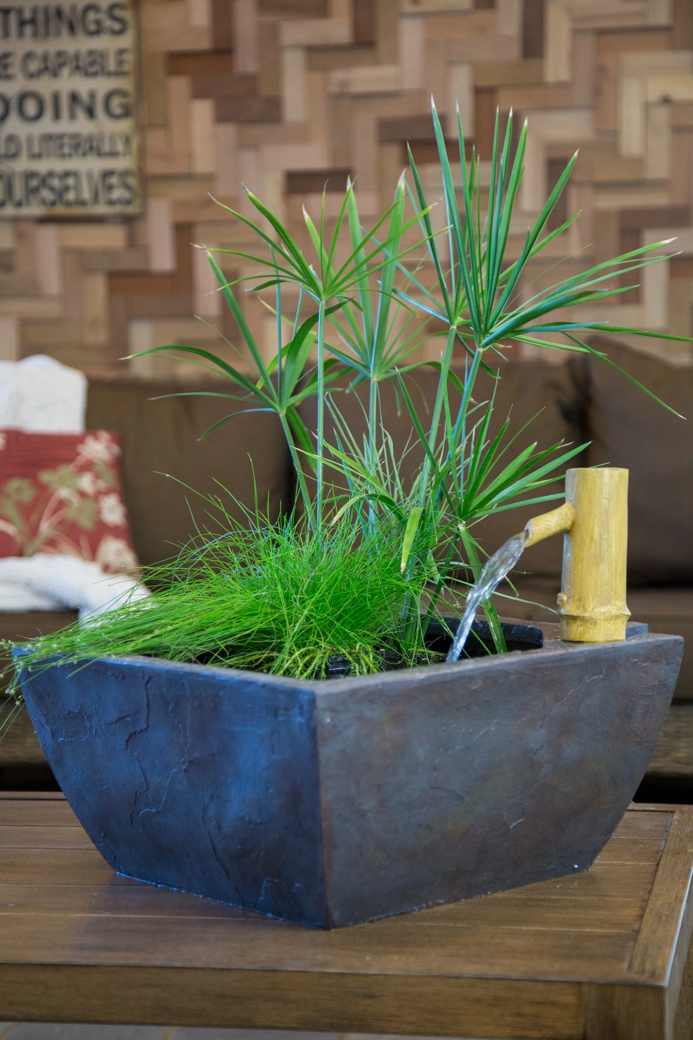 square pond with bamboo and water plants on coffee table