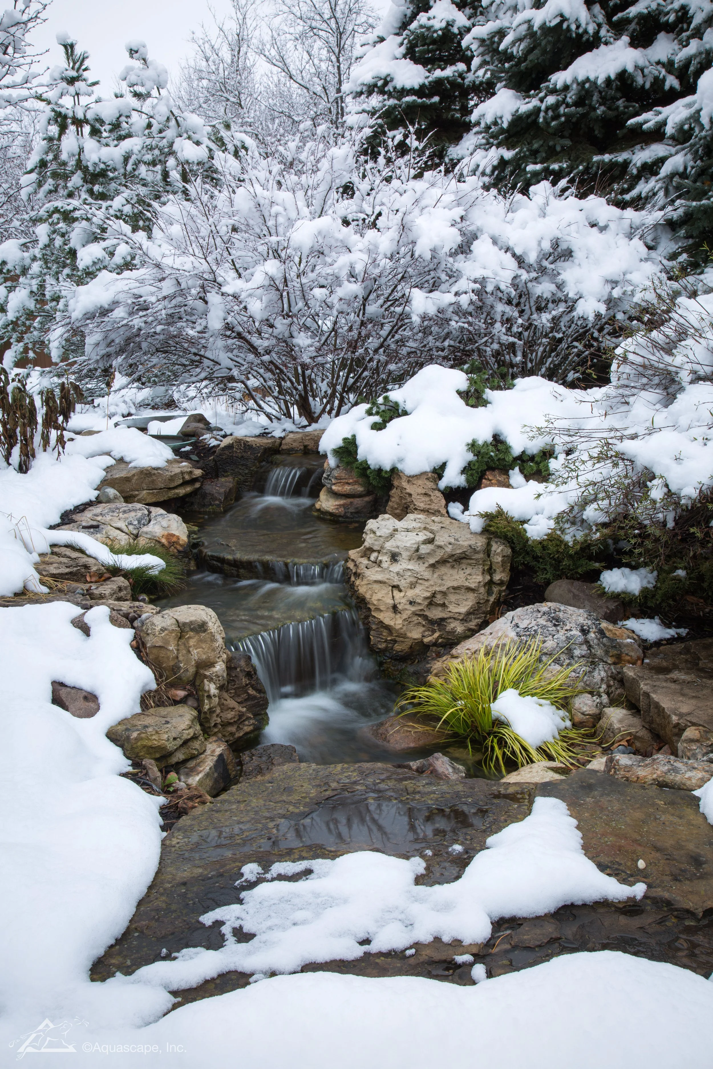 Winter_08.jpg