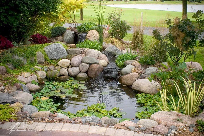 small pond