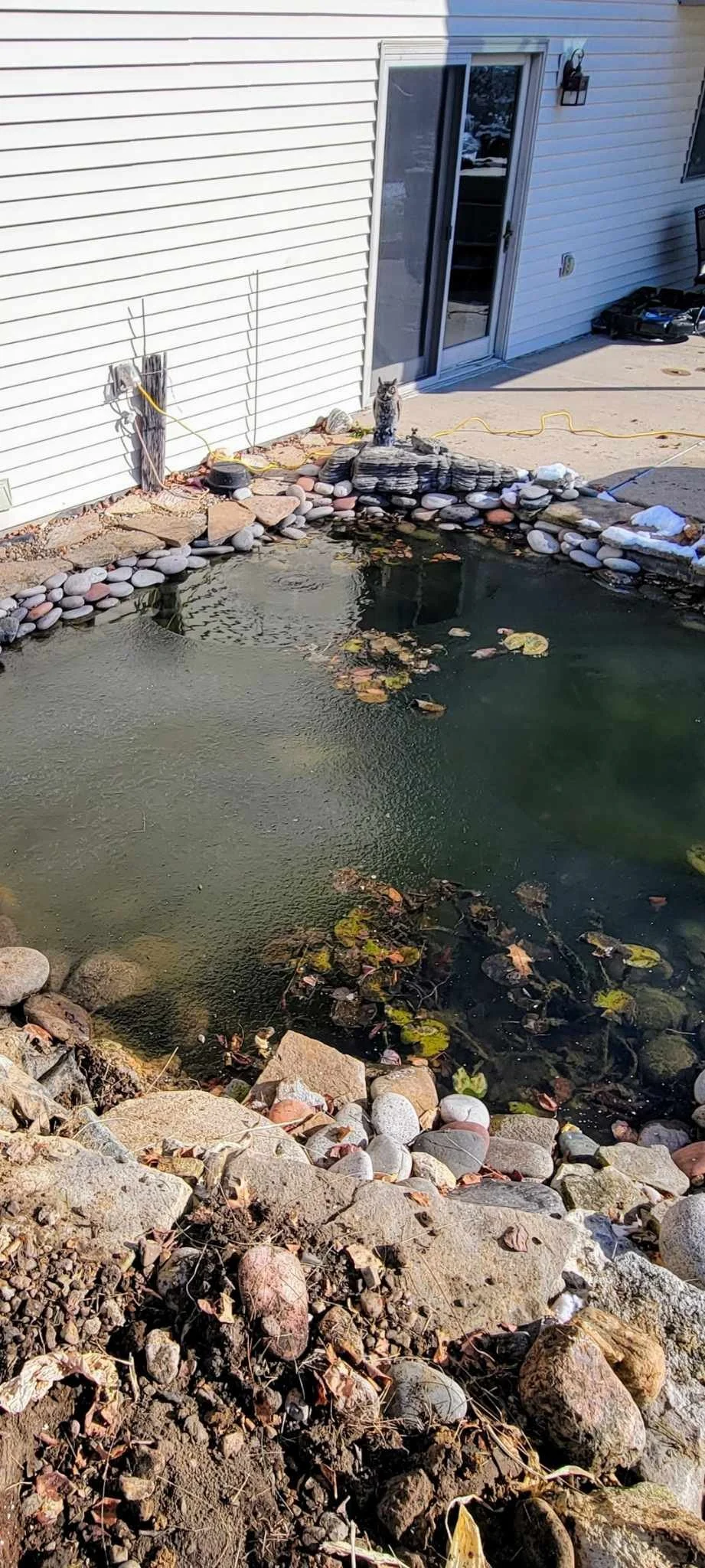 Pond cleaning and maintenance