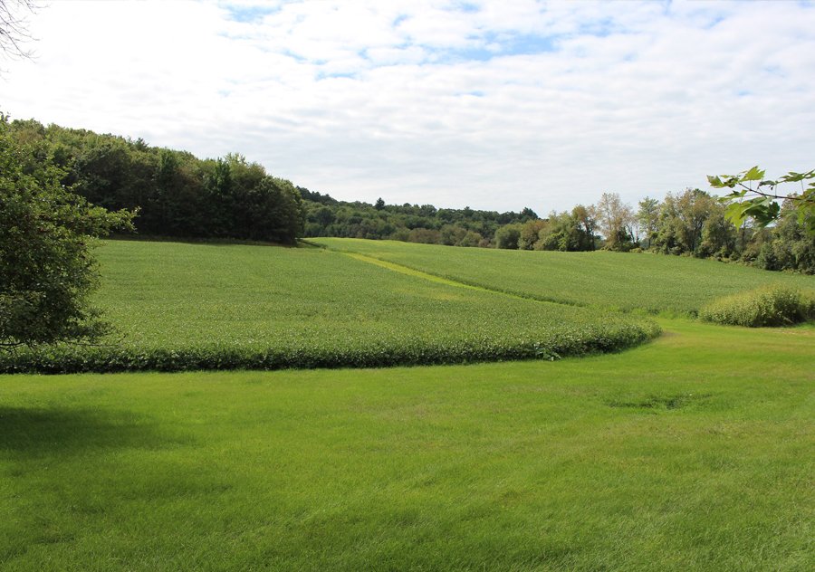 large-farmhouse-field.jpg