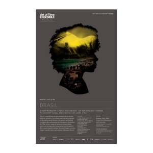 Brasil (2012) Poster