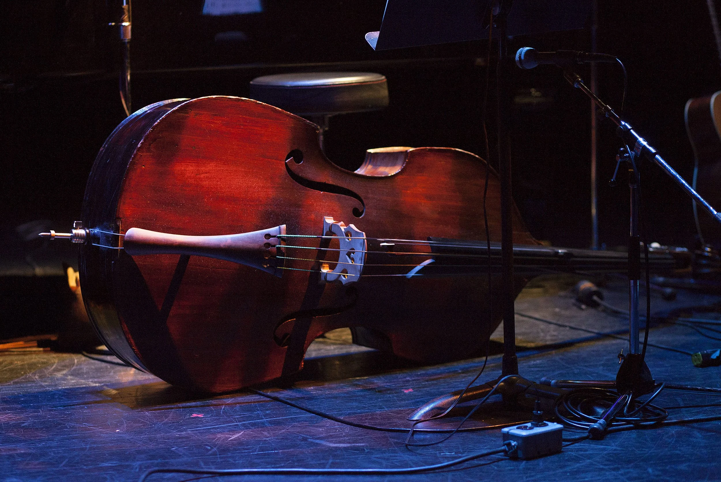  Photo by John Lauener 