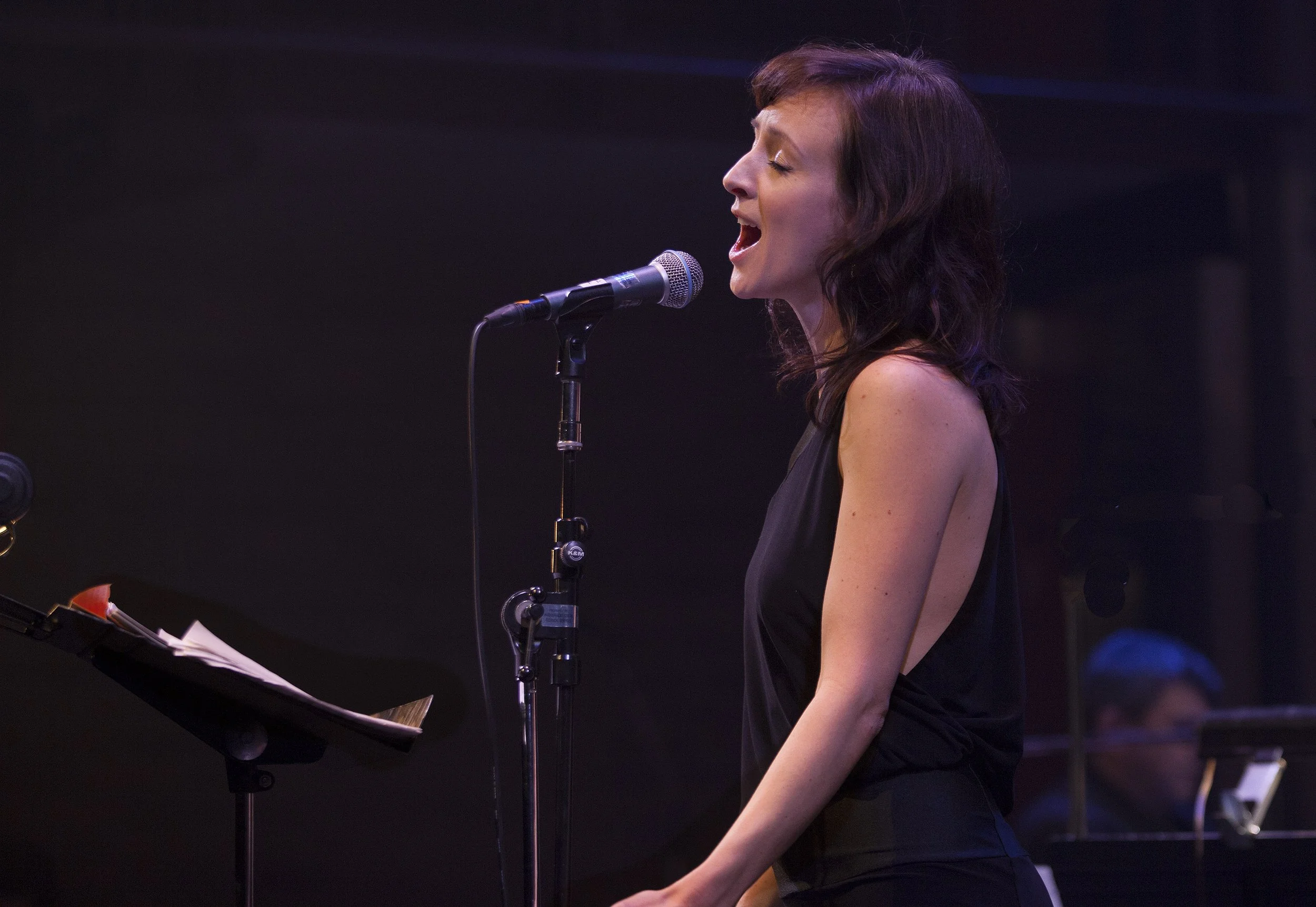  Sarah Slean Photo by John Lauener 