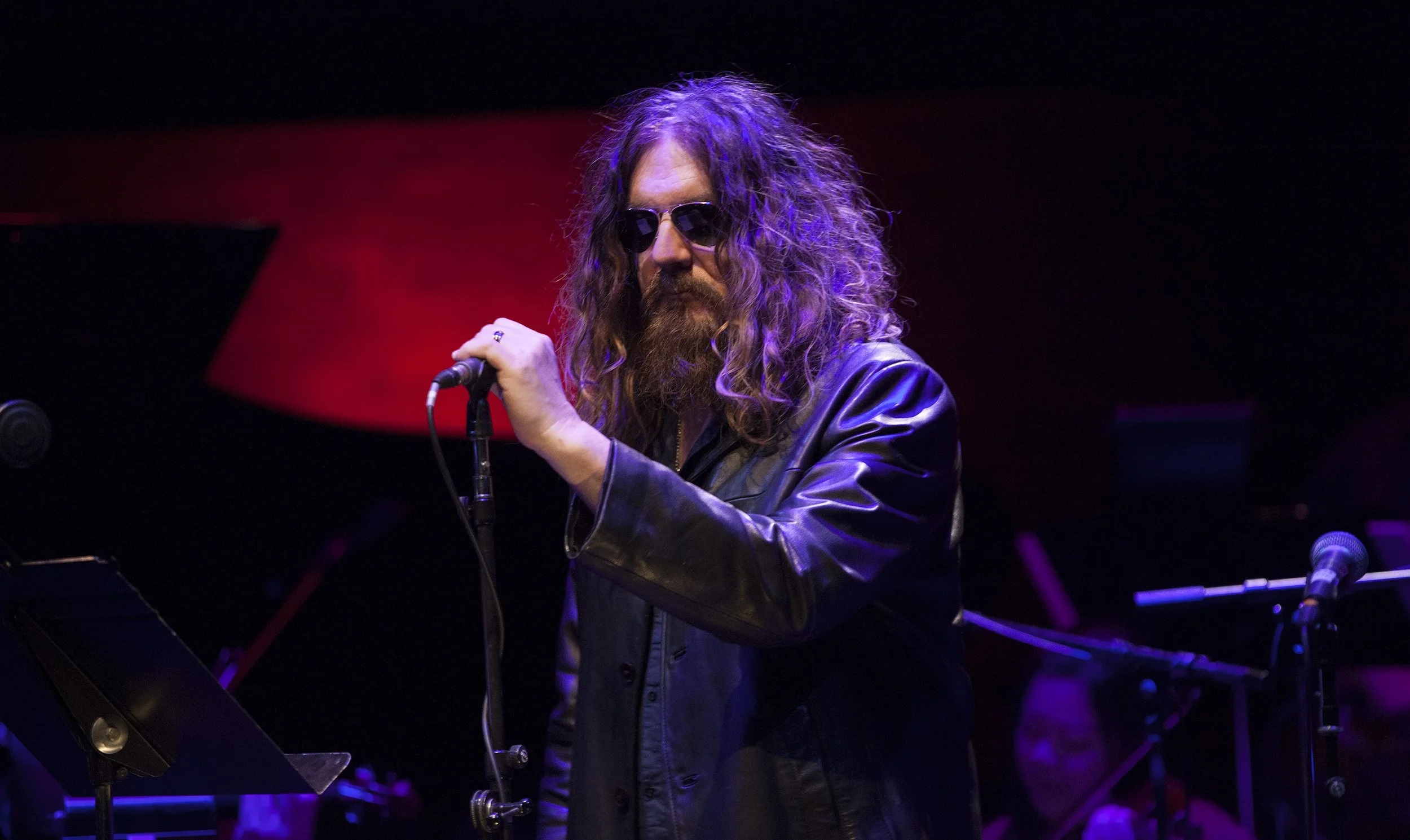  Tom Wilson Photo by John Lauener 