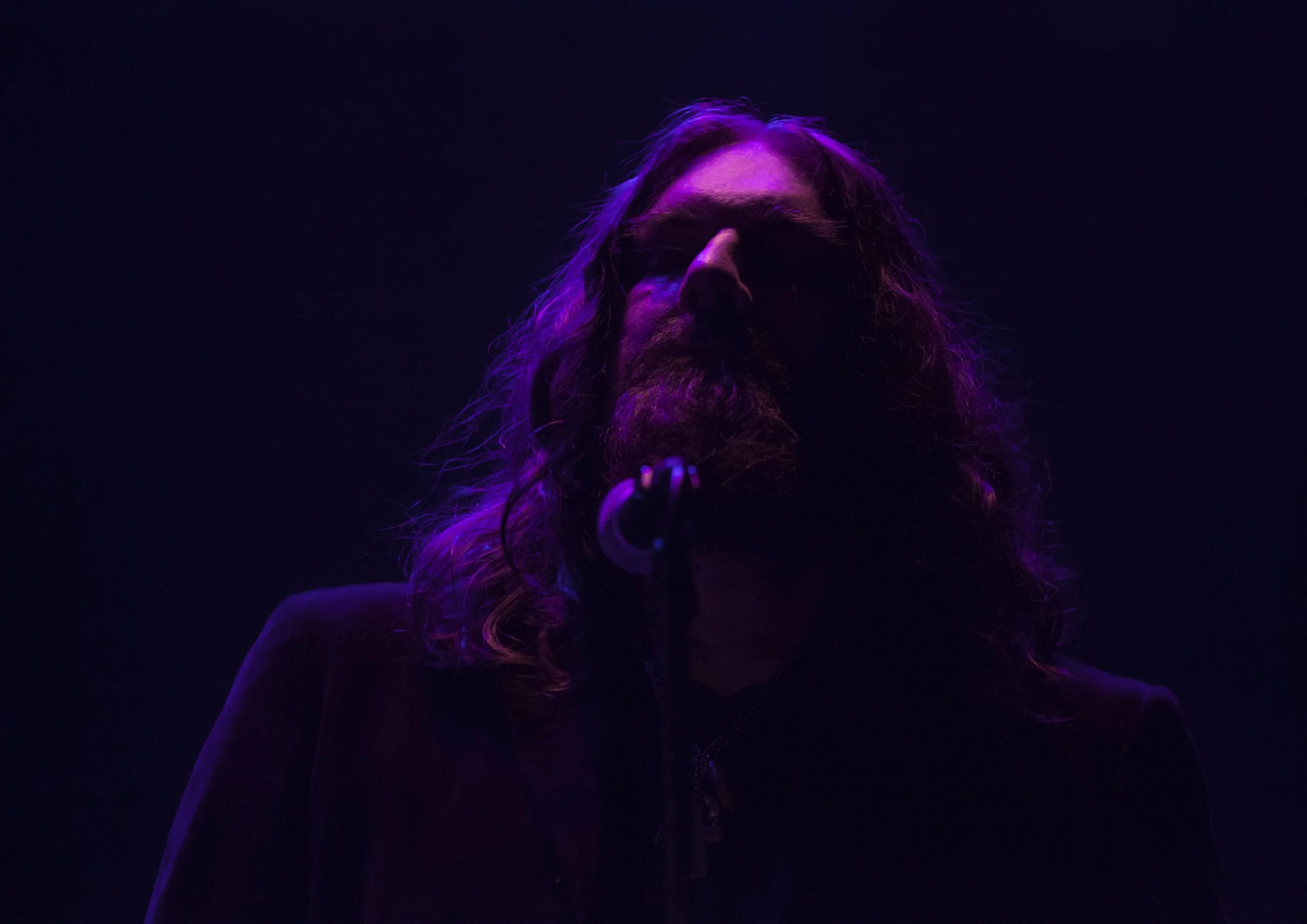  Tom Wilson Photo by John Lauener 