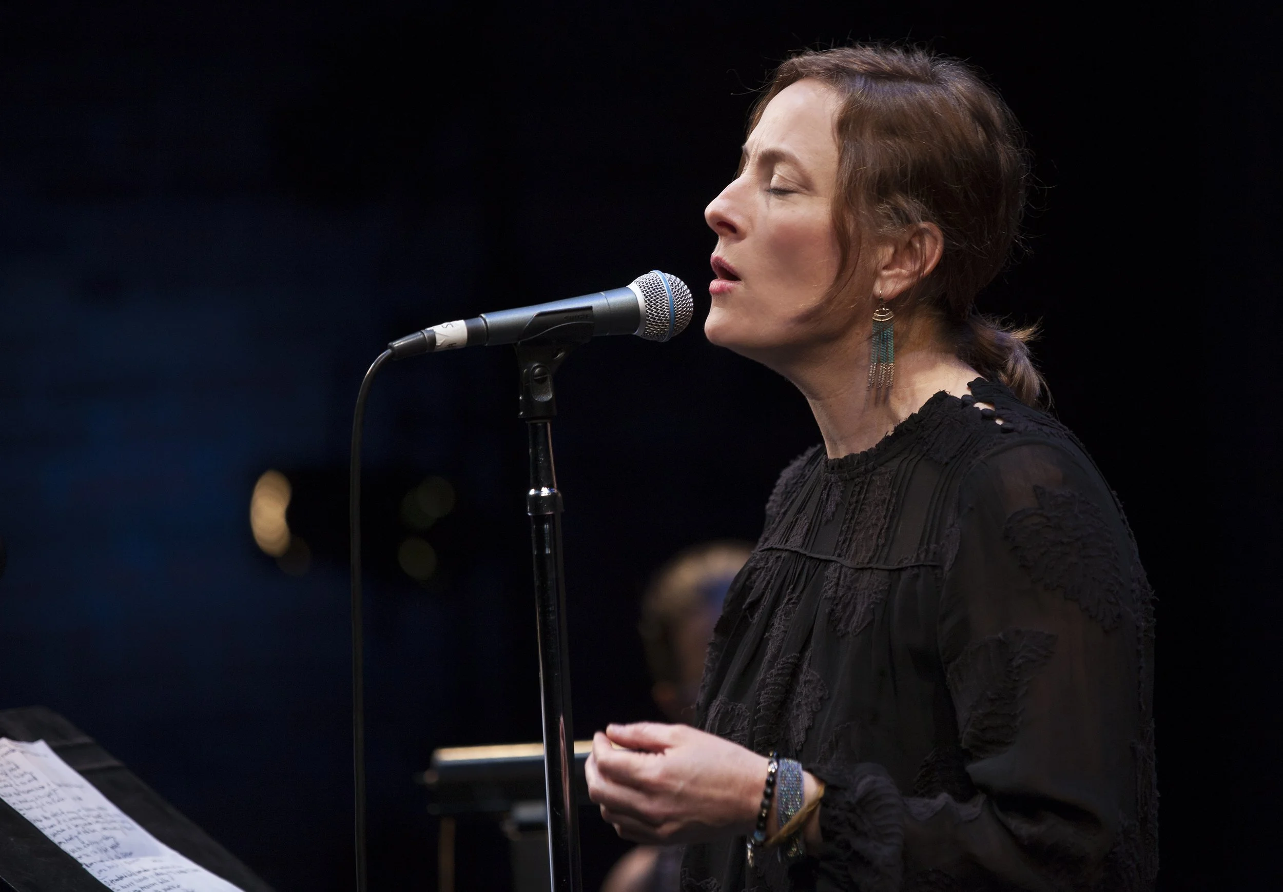 Sarah Harmer Photo by John Lauener 