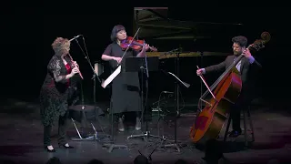 Concertino for Viola, Flute &amp; Double Bass (1925), i. Andante by Erwin Schulhoff - Erwin Schulhoff (2016)
