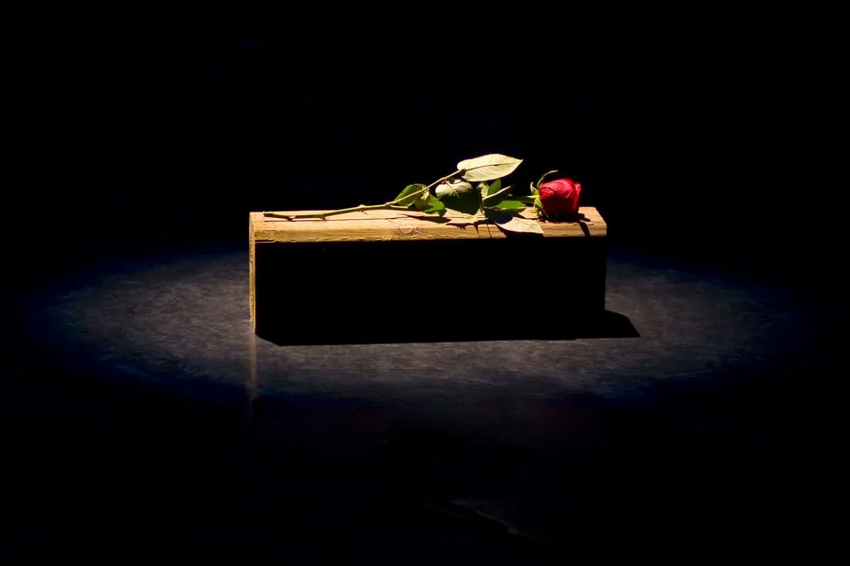  Photo by John Lauener 