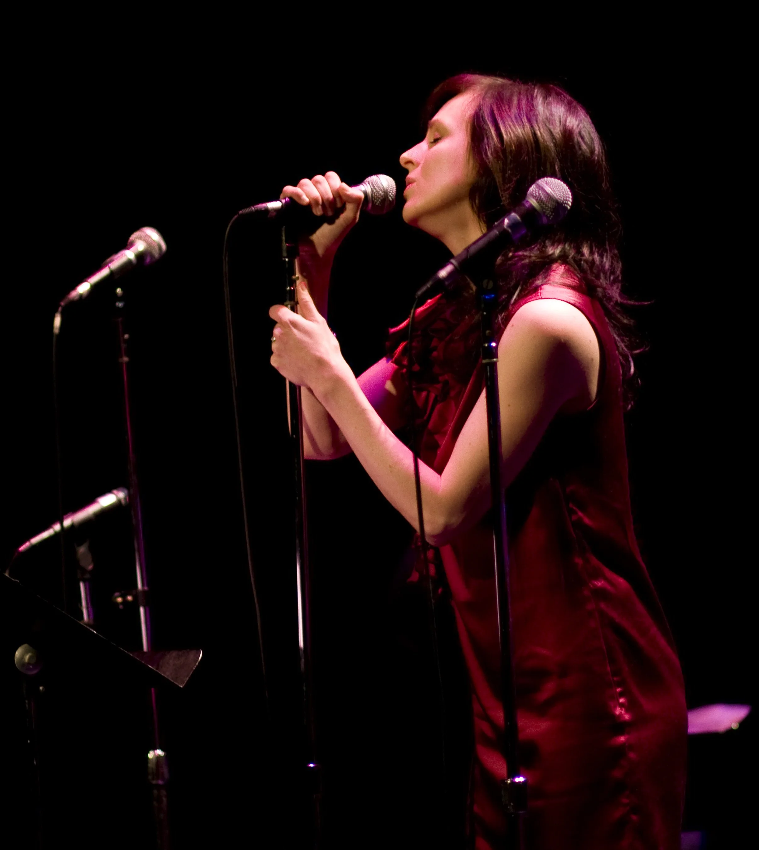  Sarah Slean Photo by John Lauener 