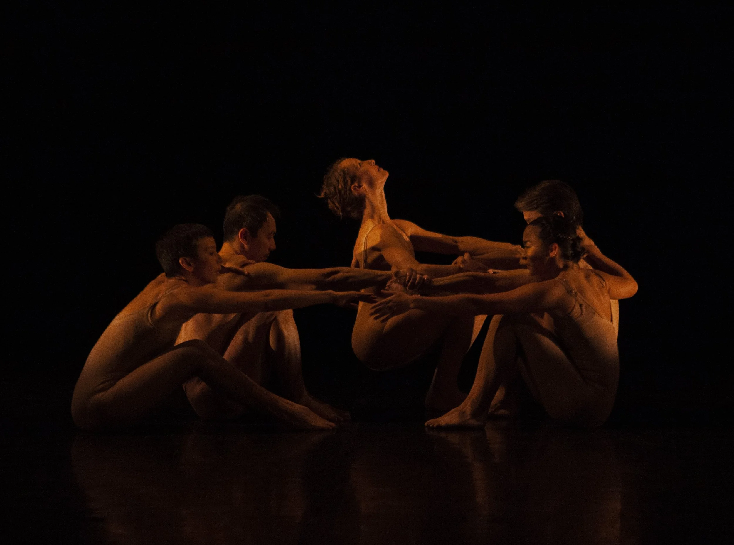 Bee Pallomina, Anh Nguyen, Danielle Baskerville, Sierra Chin-Sawdy, Michael English Photo by John Lauener 