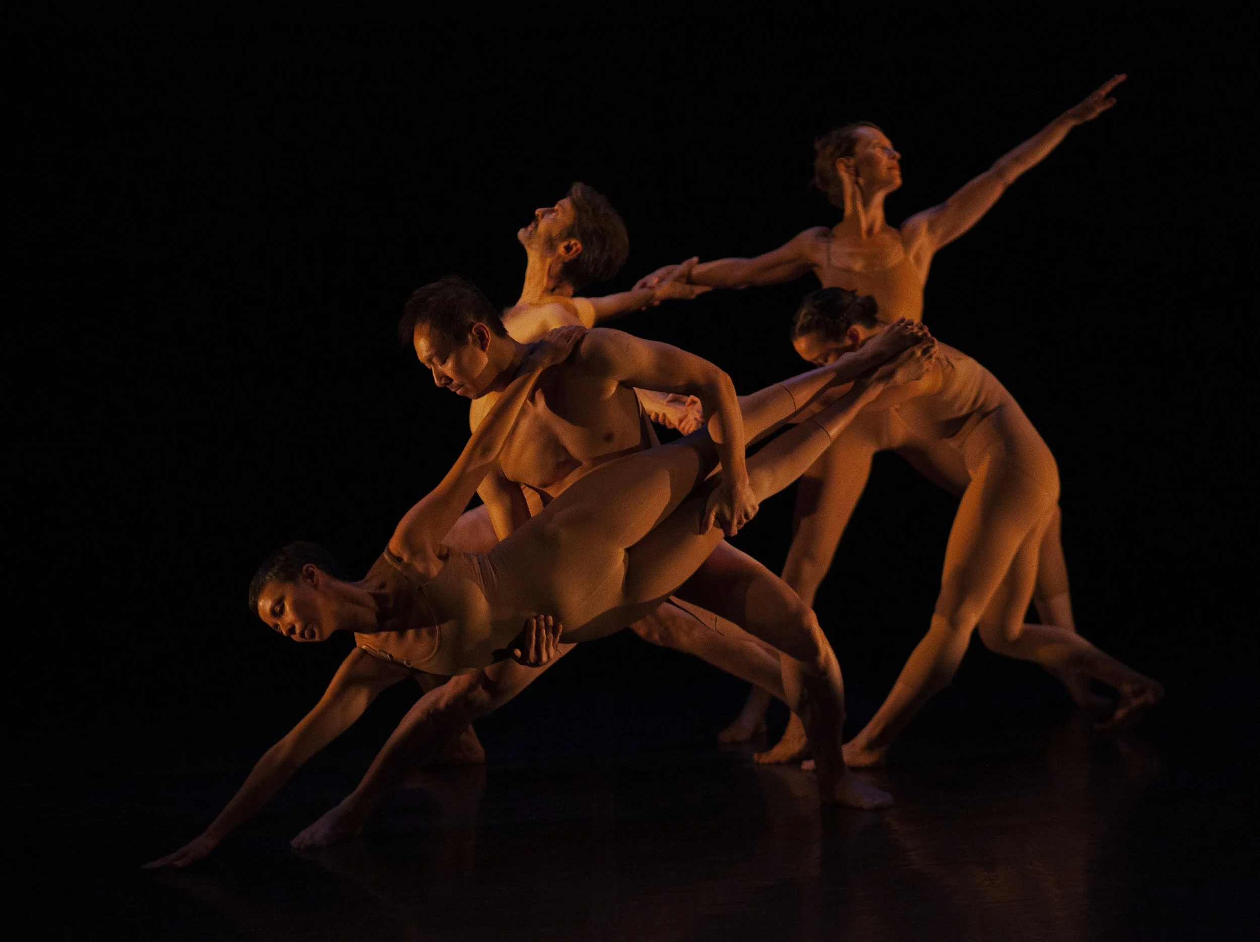  Bee Pallomina,  Anh Nguyen, Michael English, Danielle Baskerville, Sierra Chin-Sawdy Photo by John Lauener 