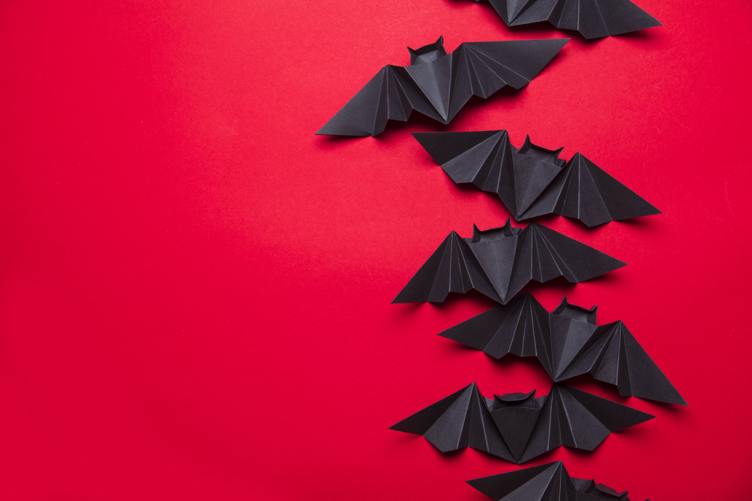 Your Website Looks Cute — But Cute Doesn’t Convert
