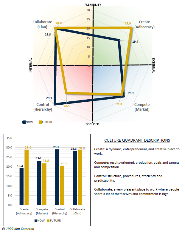 Organization Culture Profile