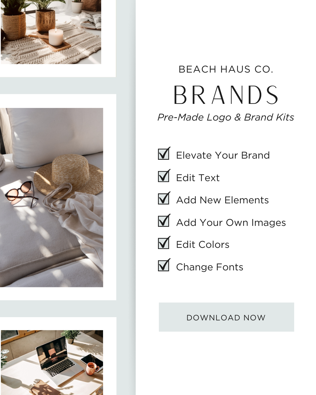 Beach Haus Brands.png