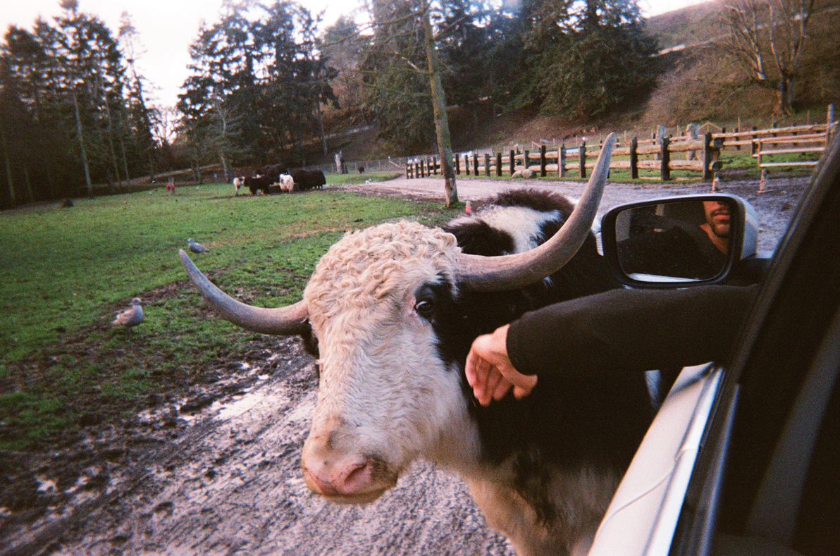 Screenshot 2025-12-26 at 11.30.45 AM.png