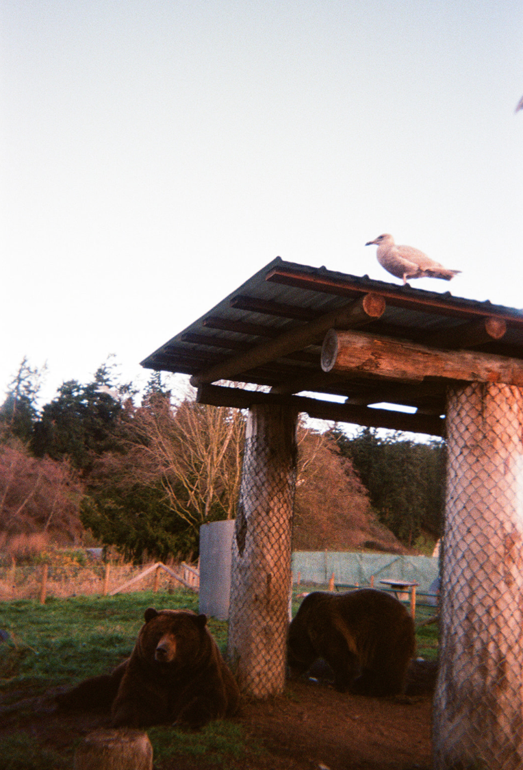 Screenshot 2025-12-26 at 11.30.51 AM.png