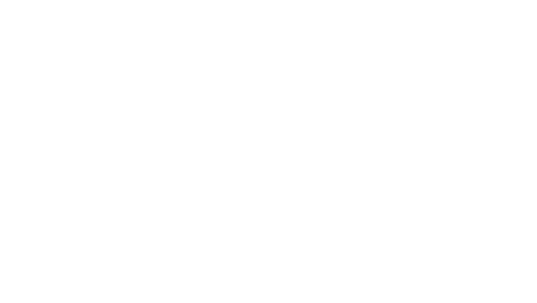 Peak Talent Advisors