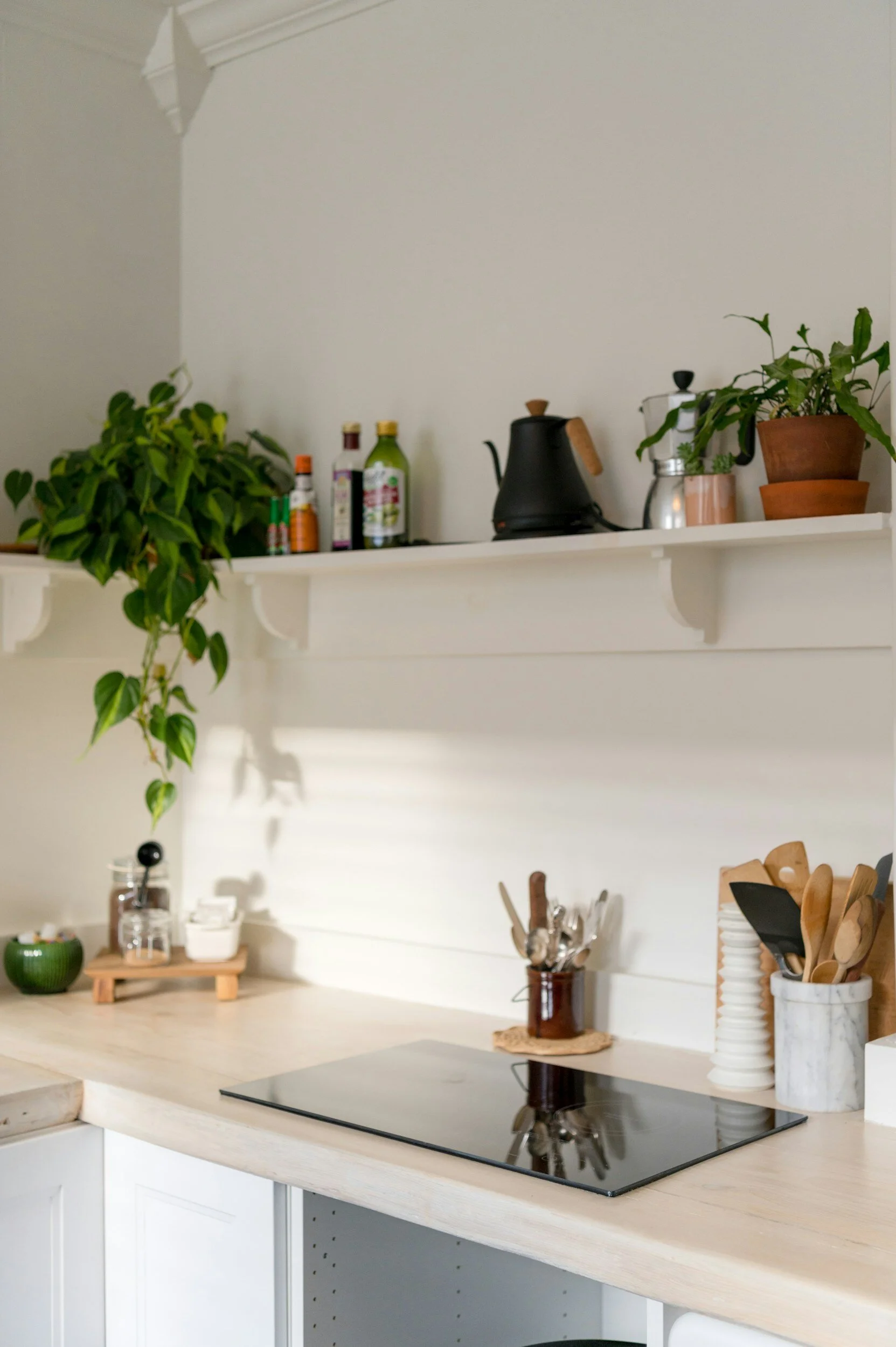 A minimalist kitchen countertop with potted plants, utensils, and bottles on a white shelf.