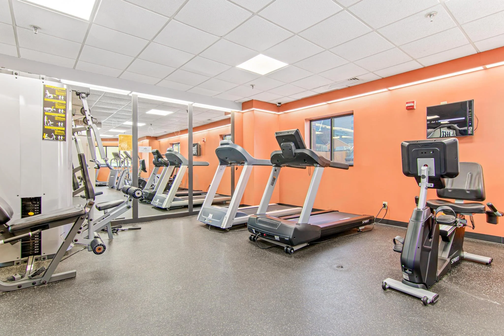 Empty gym with cardio equipment including treadmills, ellipticals, and exercise bikes, against an orange wall with windows and a flat-screen TV.