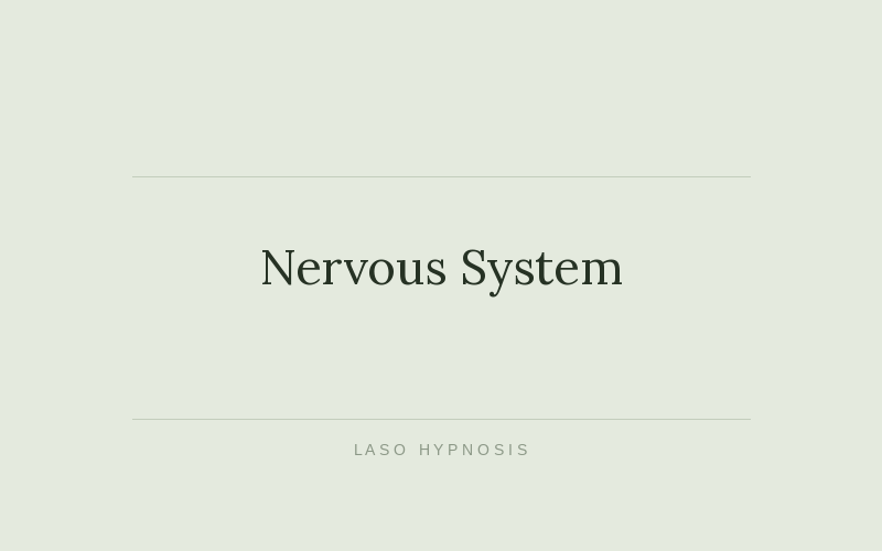 Nervous System