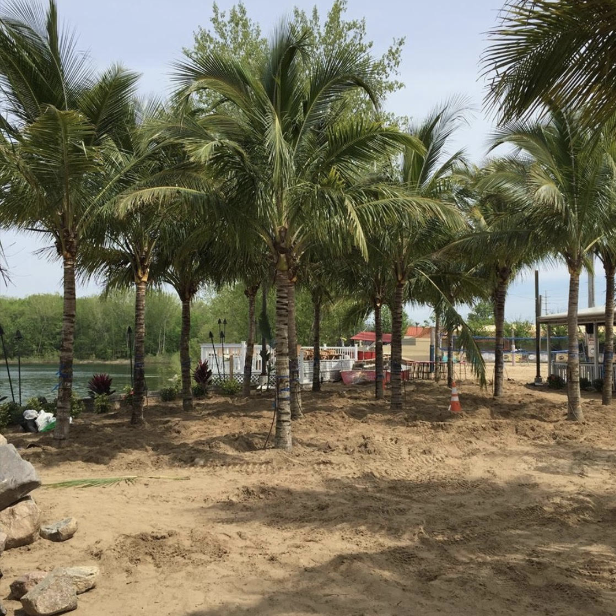 Screen Shot 2024-04-04 at 4.19.18 PM.png