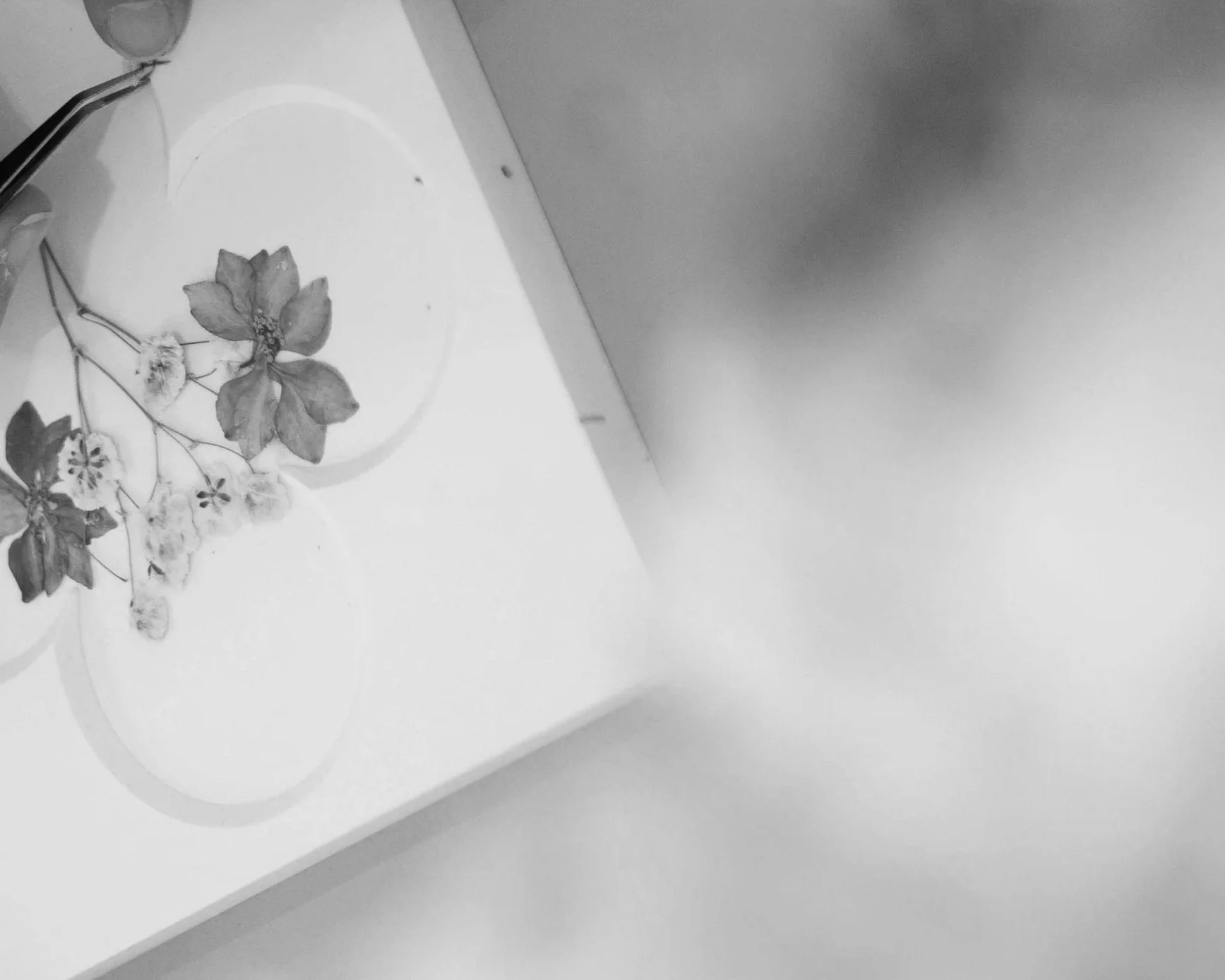 Louis Vuitton, Fête des Mères 25