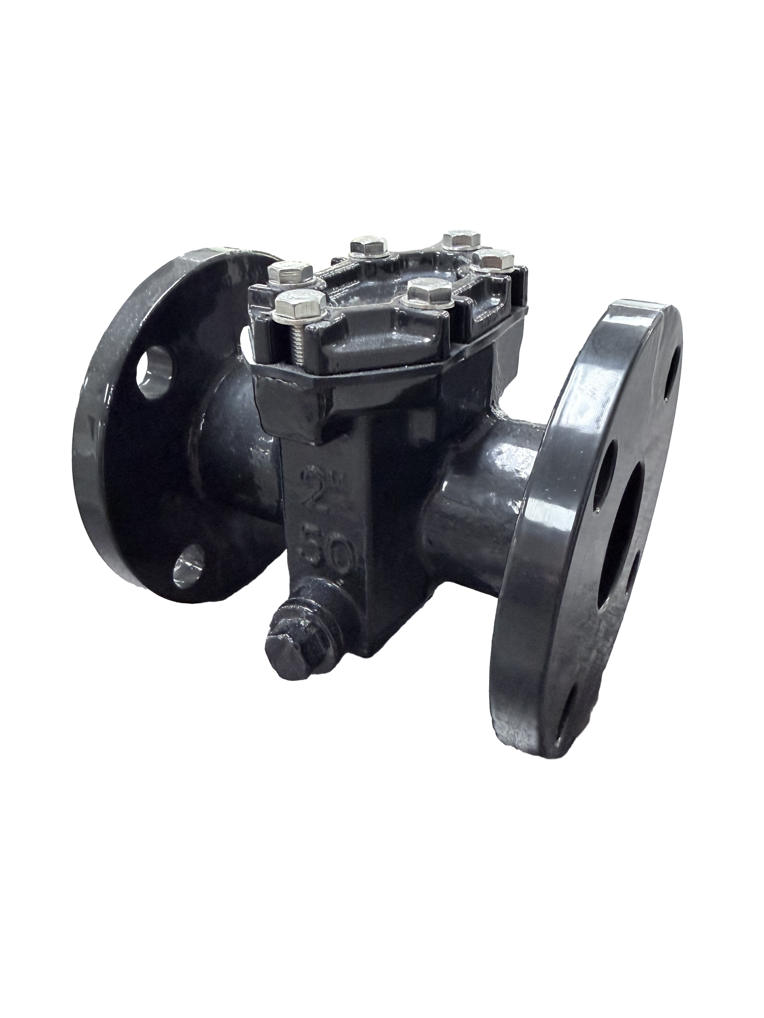 MTW 3” LF Cast Iron Epoxy Strainer