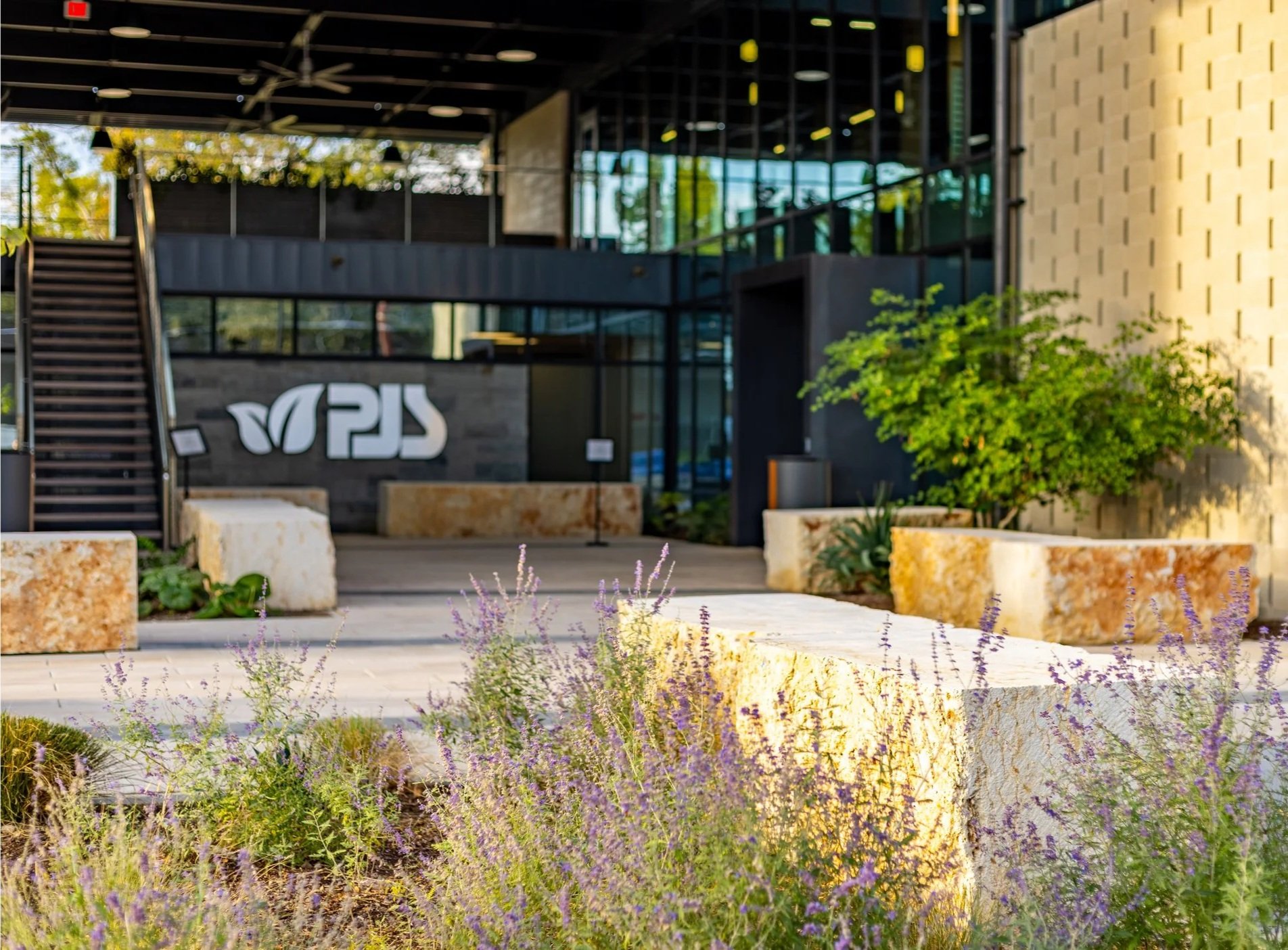 Modern building entrance with glass windows and a prominent PJS logo on a dark wall. The entrance is surrounded by natural stone benches, plants, and purple flowering herbs, with sunlight illuminating the scene.