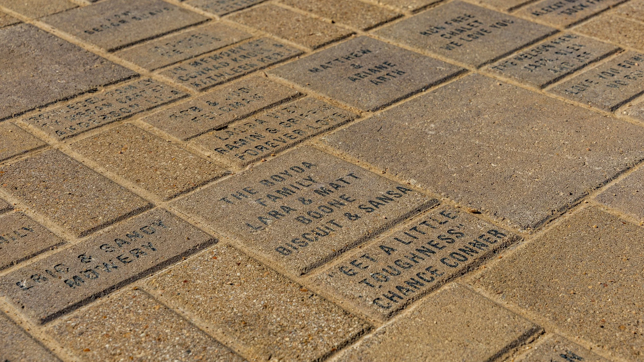 Several engraved bricks in a walkway, with visible text honoring different individuals and families, including a brick dedicated to the Royda, LaLaura & Ralph family, Rosie & Ralph, and a brick with an inspirational message.