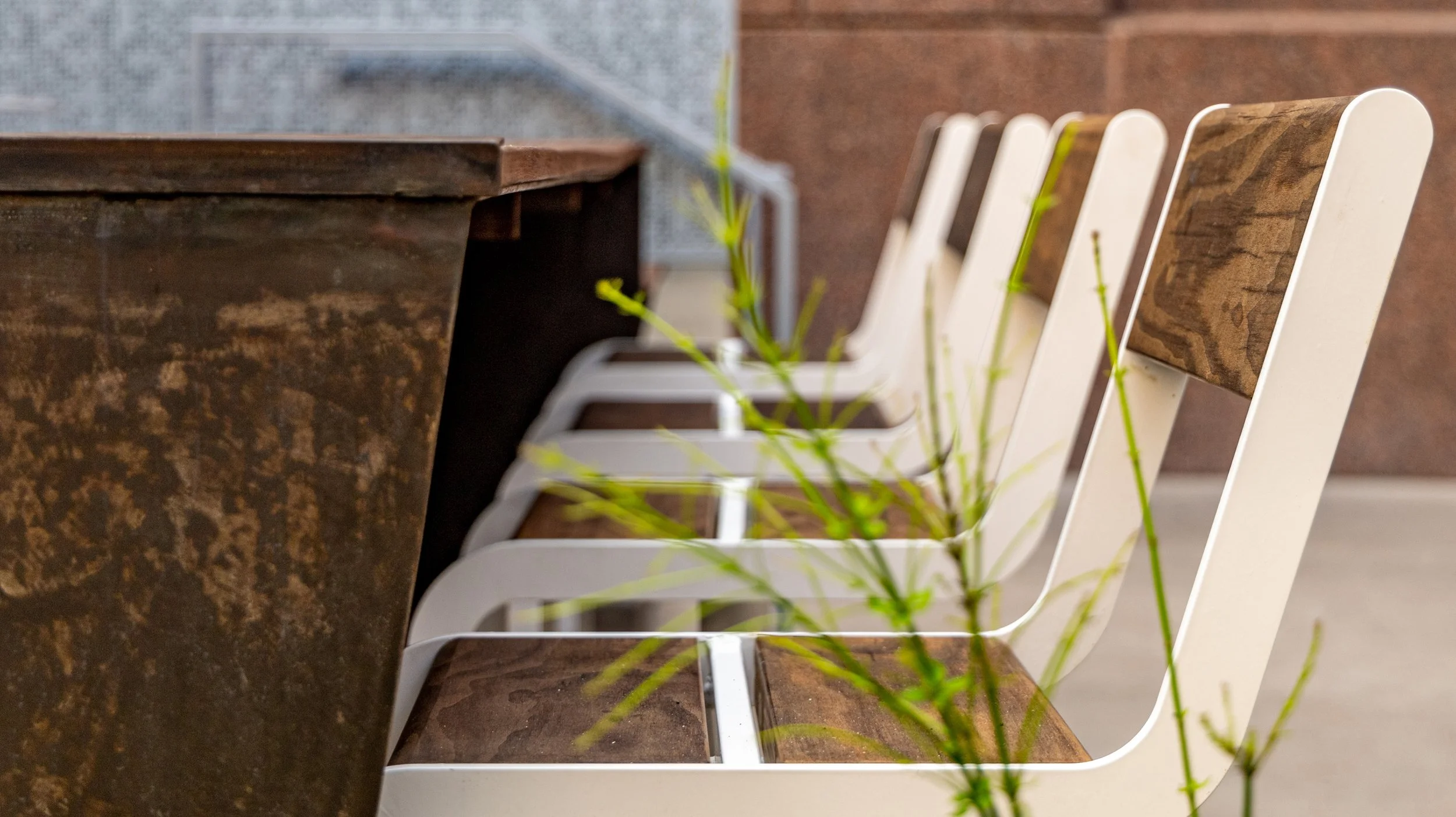 Row of white and brown wooden chairs lined up against a brown wooden table, with green plant in the foreground and brick wall background.
