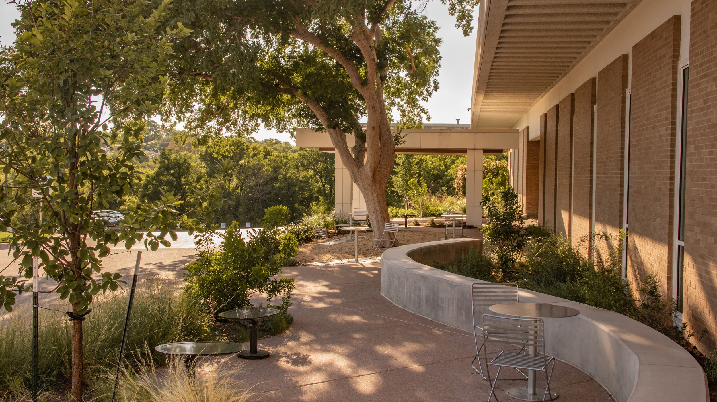 An outdoor patio area with a large tree, modern outdoor seating, and a brick building on the right side. The space features small round tables and chairs, surrounded by greenery and plants, with a sunny sky.