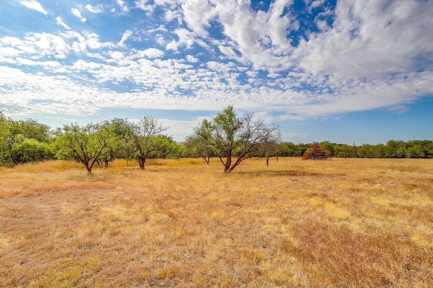 7636 BEN DAY MURRIN | FORT WORTH, TX 76110 — The Ashton Agency