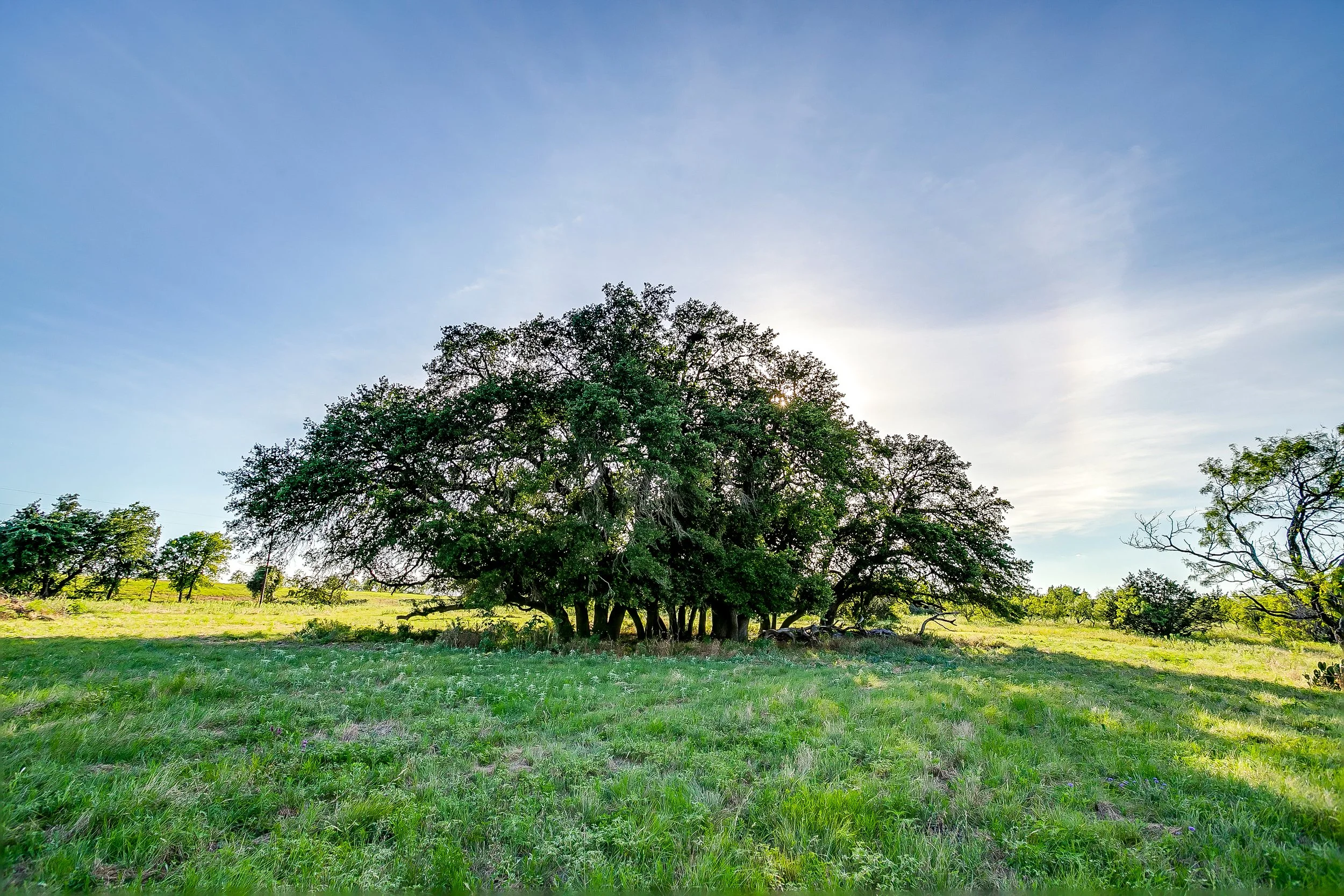 Santa Teresa Ranch - 2113 E Highway 36 (177 of 191).jpg