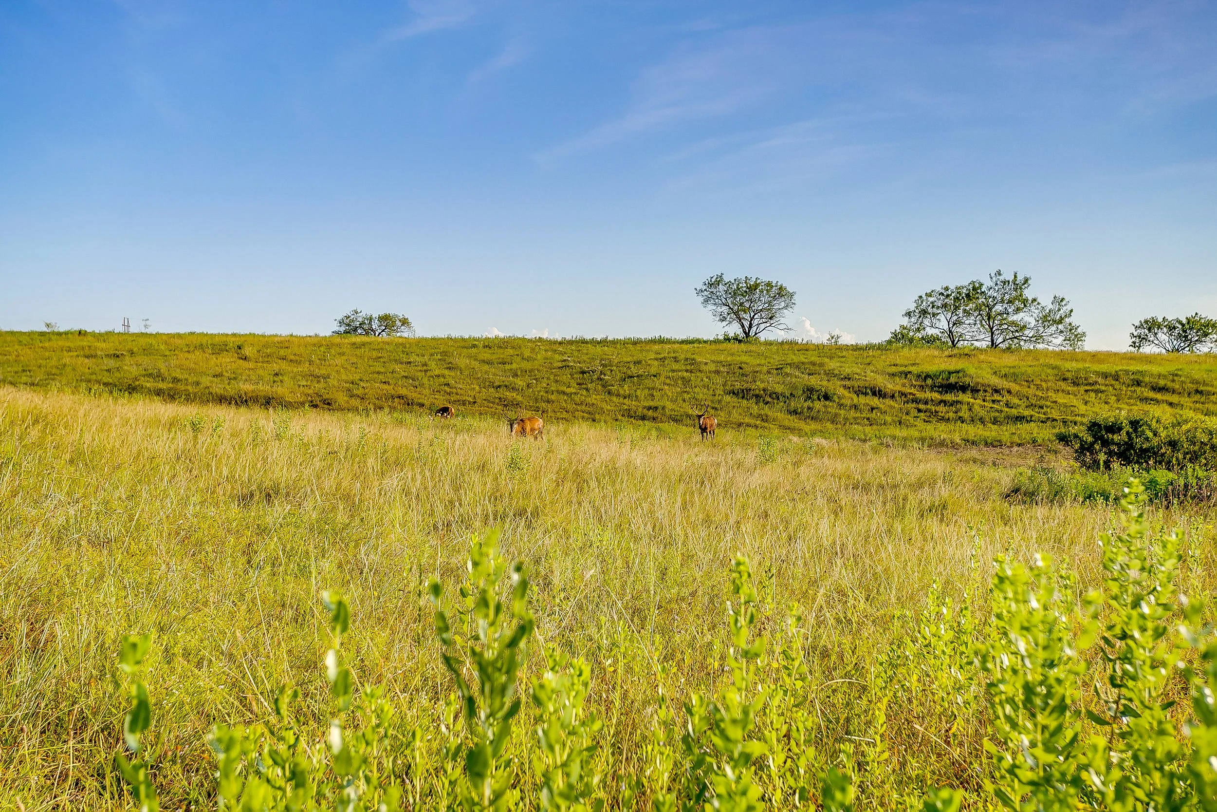 Santa Teresa Ranch - 2113 E Highway 36 (178 of 191).jpg