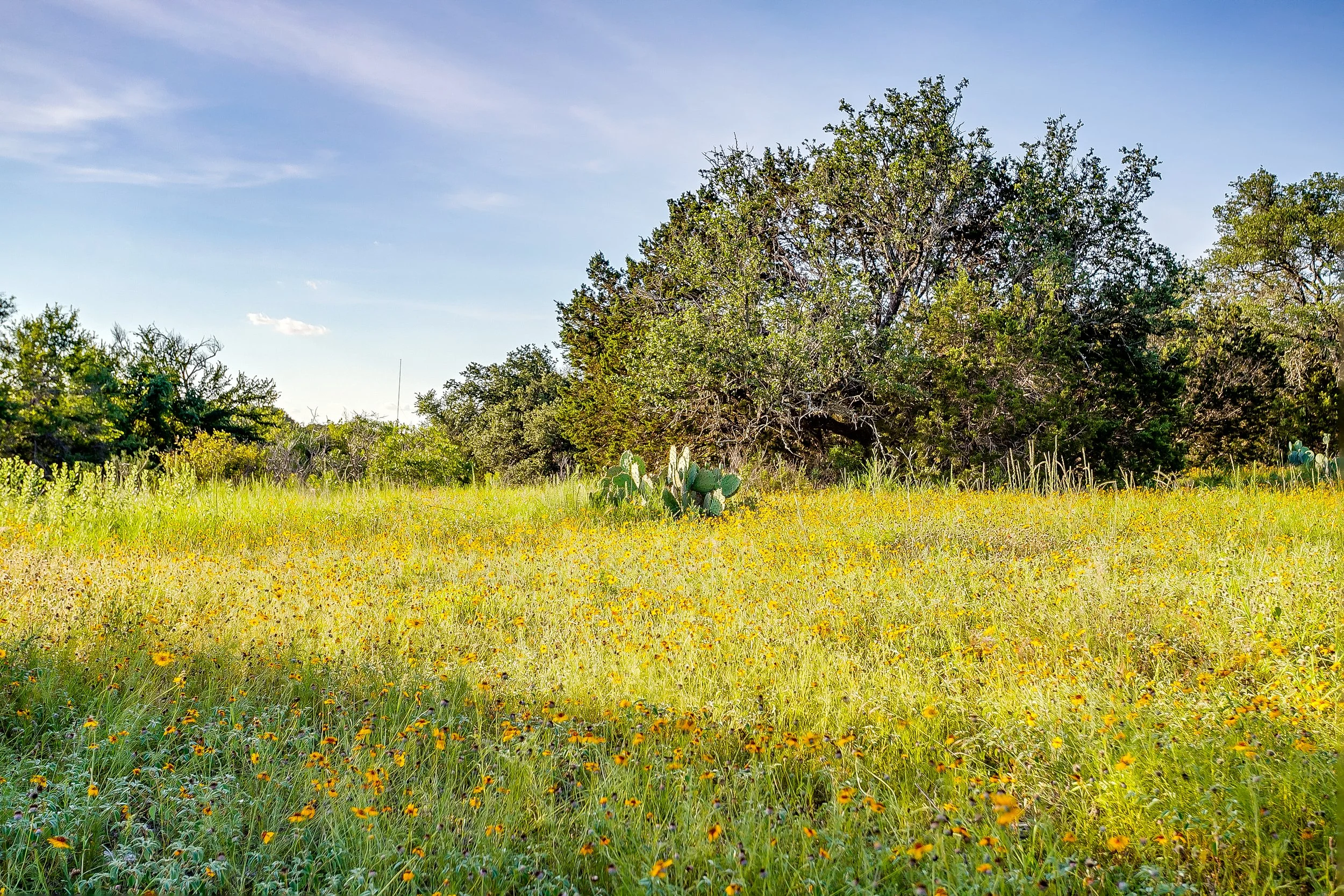 Santa Teresa Ranch - 2113 E Highway 36 (183 of 191).jpg