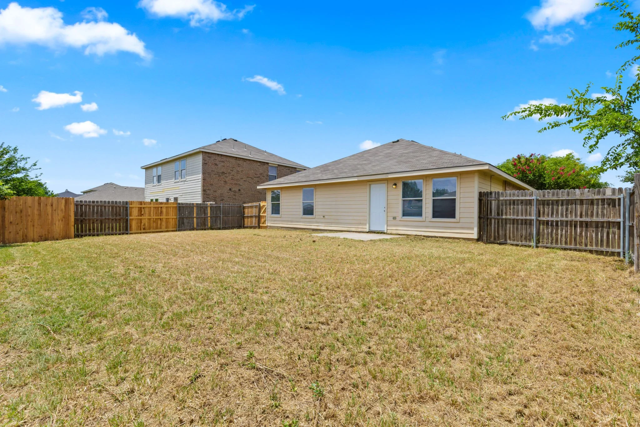 23 Backyard.jpg