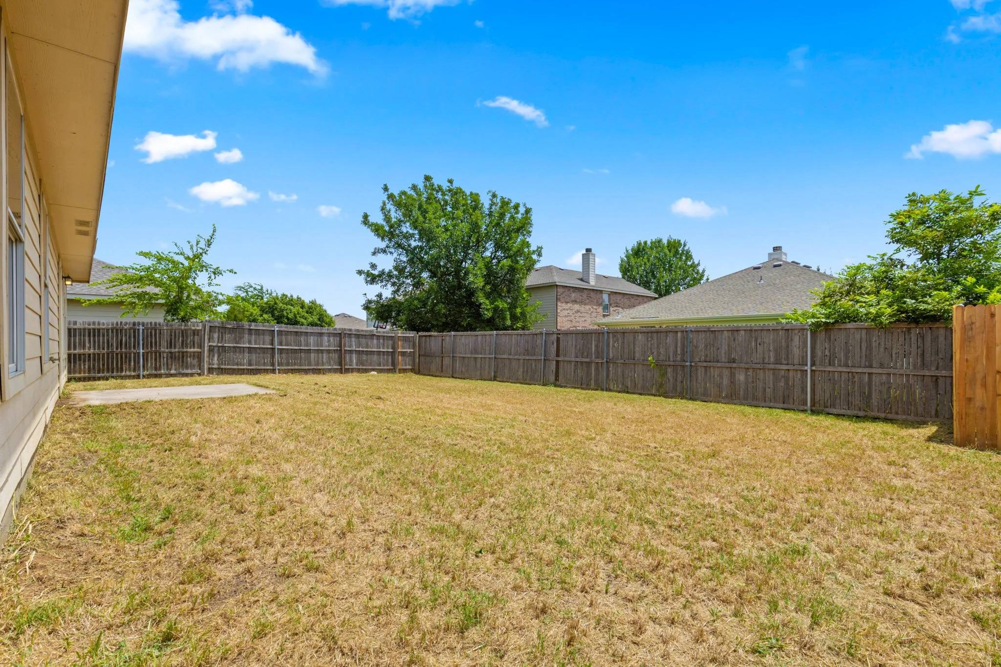 25 Backyard.jpg