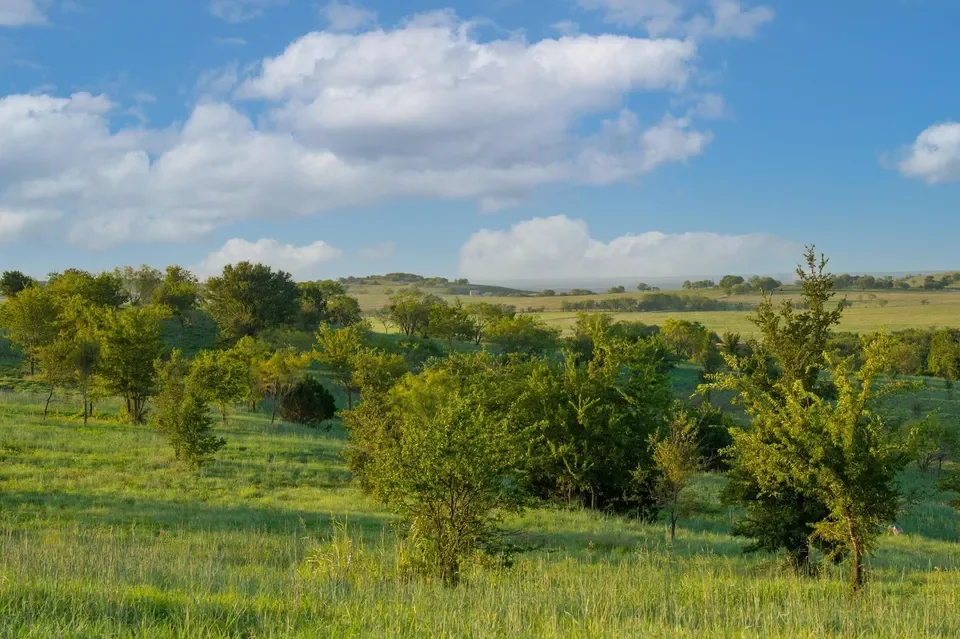 BEAR CREEK RANCH