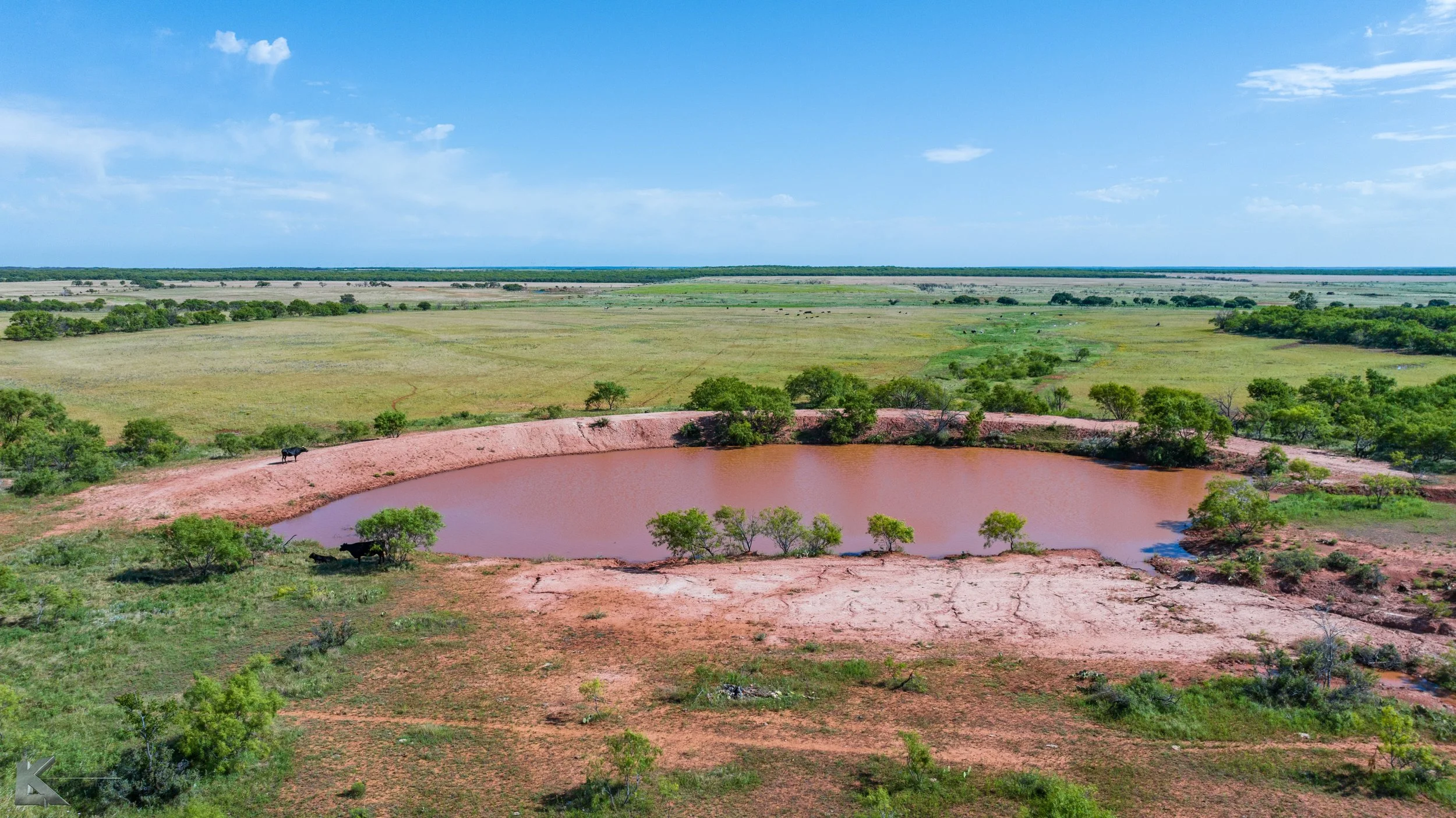 DJI_20250617100227_0013_D.jpg