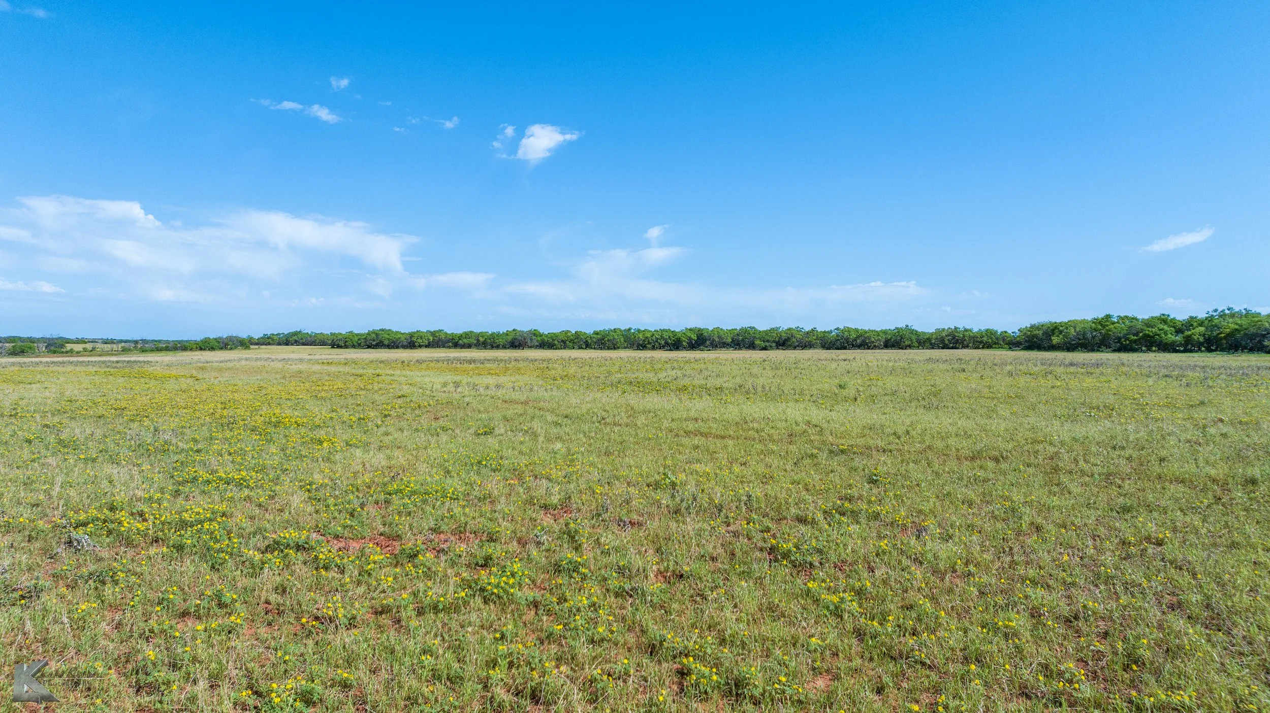 DJI_20250617101619_0044_D.jpg