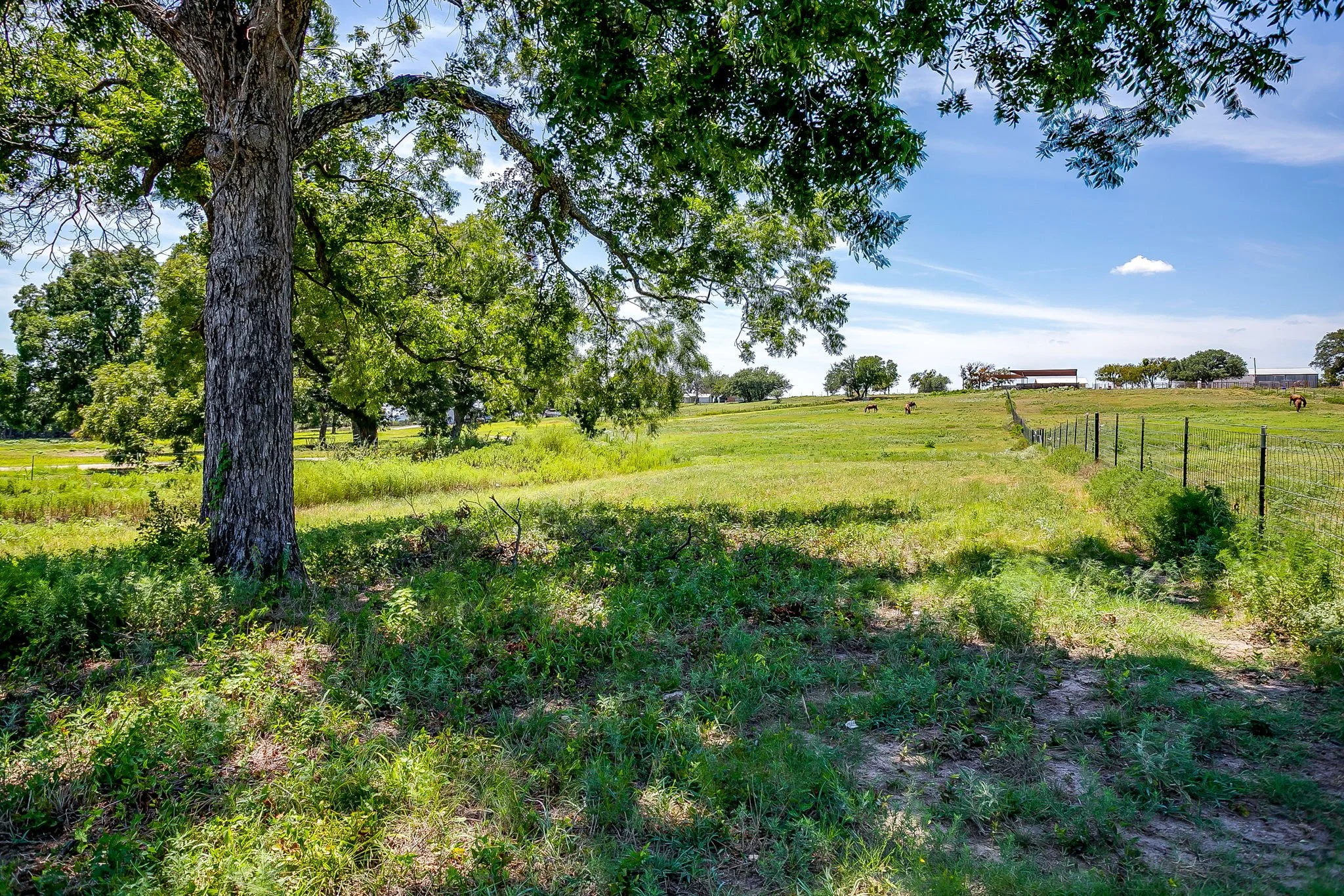 7205 Bethel Rd (36 of 36).jpg