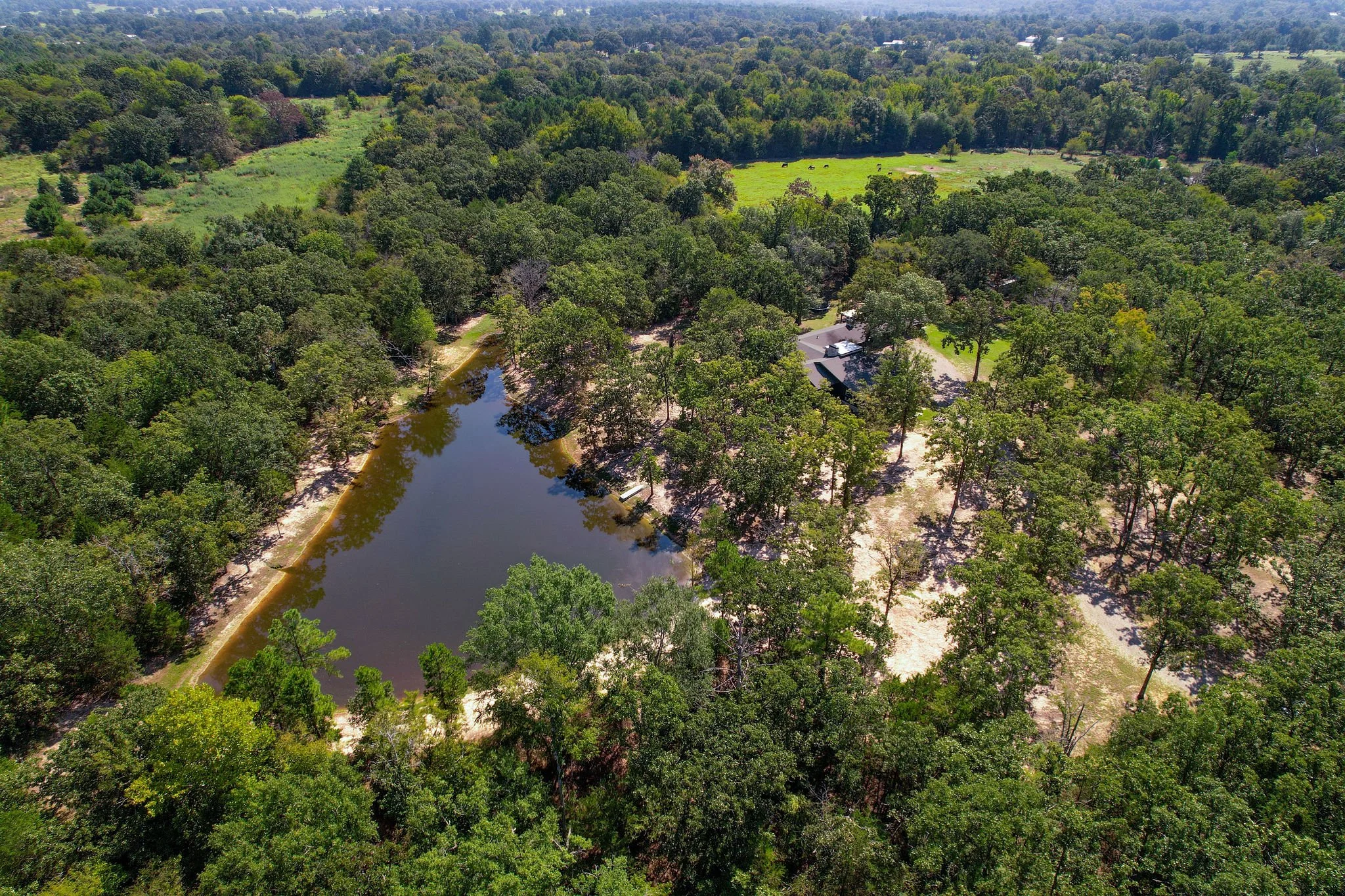 DJI_0576 WEB.jpg