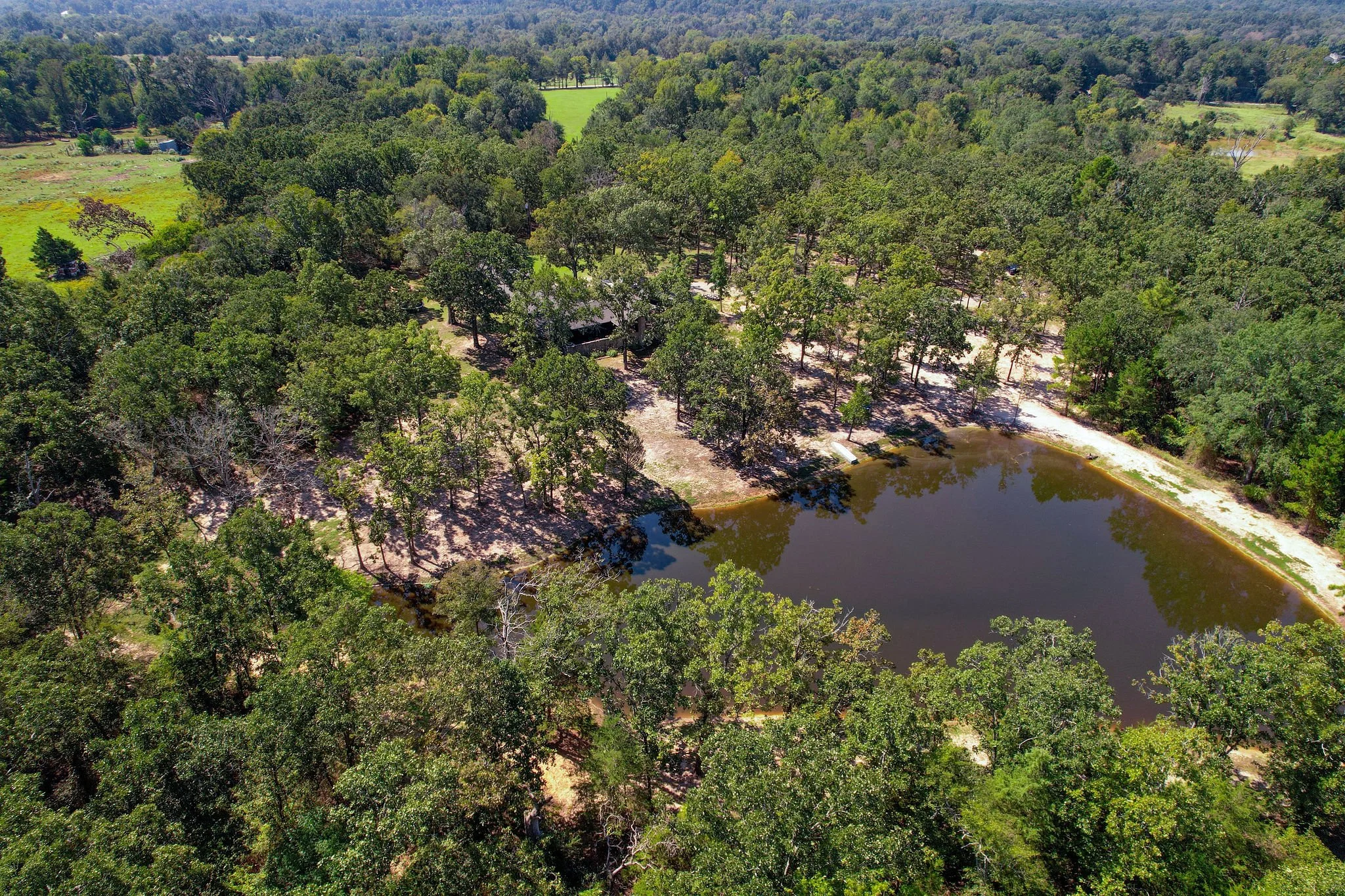 DJI_0591 WEB.jpg