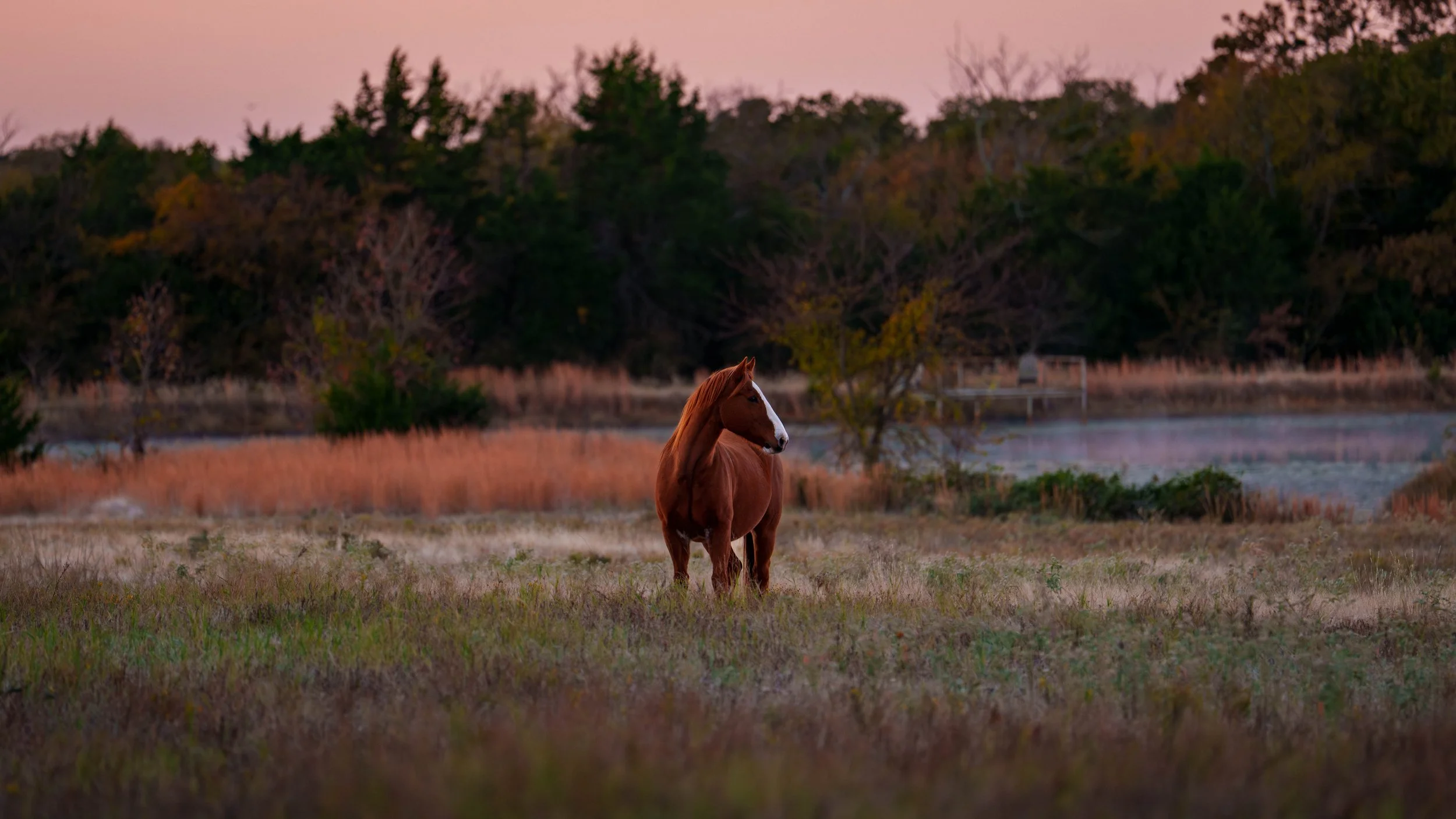 Copy of Red Hill Ranch -001.jpg