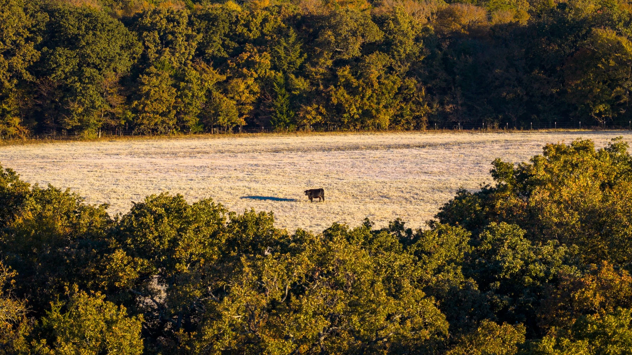 Copy of Red Hill Ranch -141.jpg