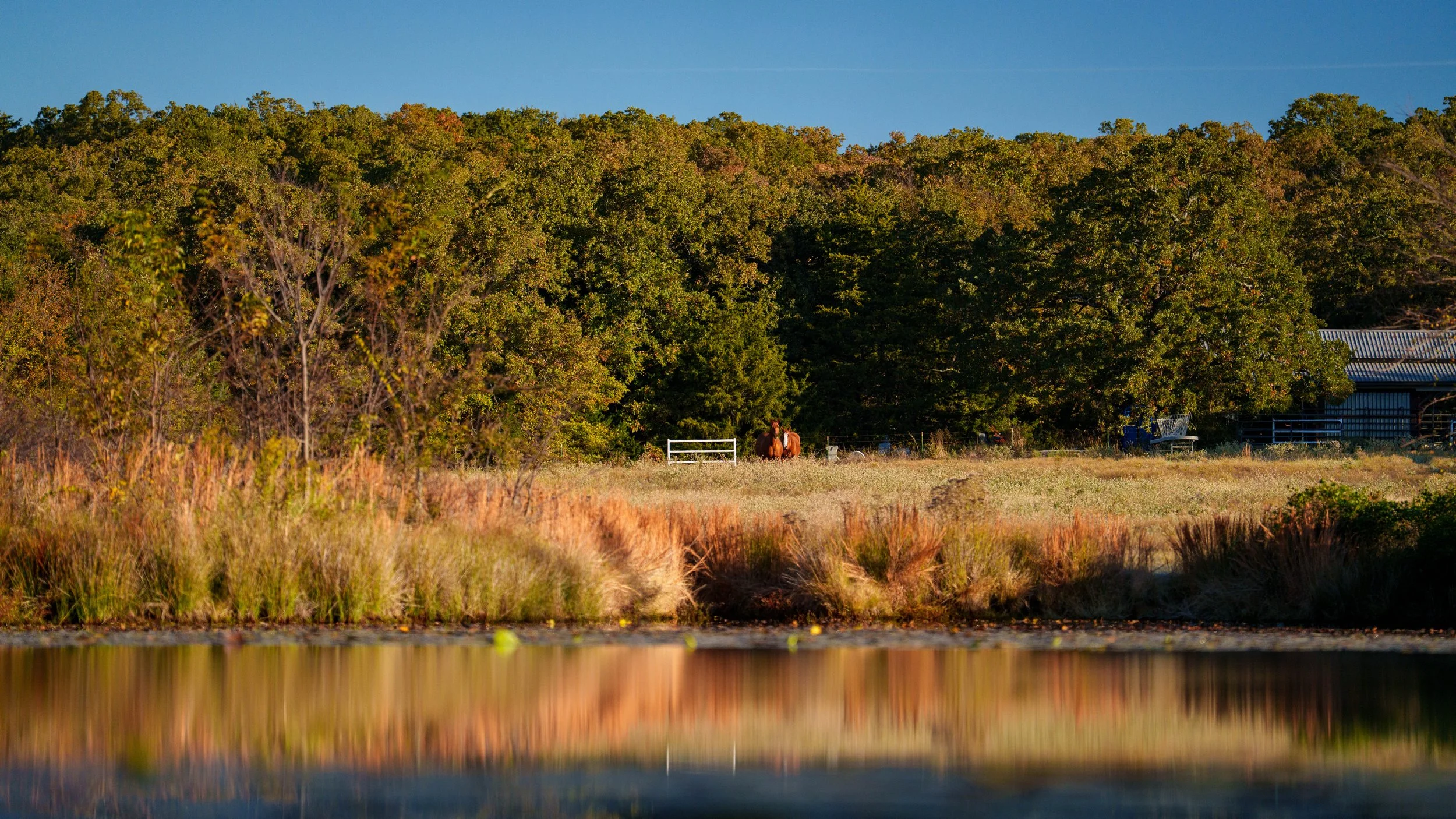 Copy of Copy of Copy of Red Hill Ranch -018.jpg