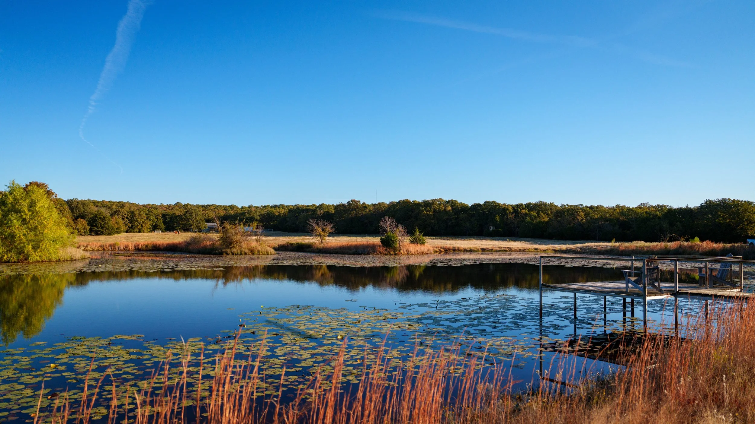 Copy of Copy of Copy of Red Hill Ranch -020.jpg