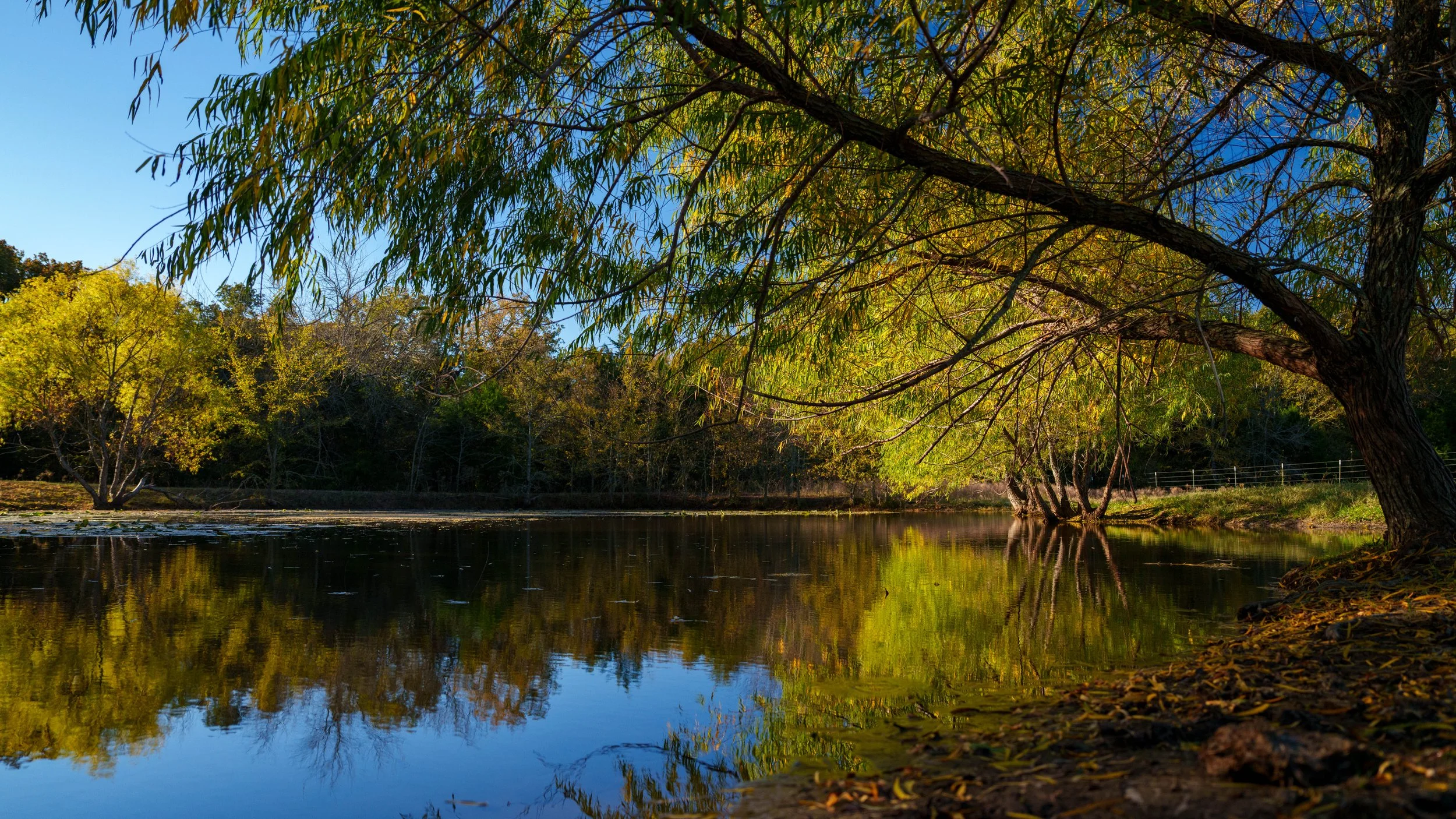 Copy of Copy of Copy of Red Hill Ranch -041.jpg