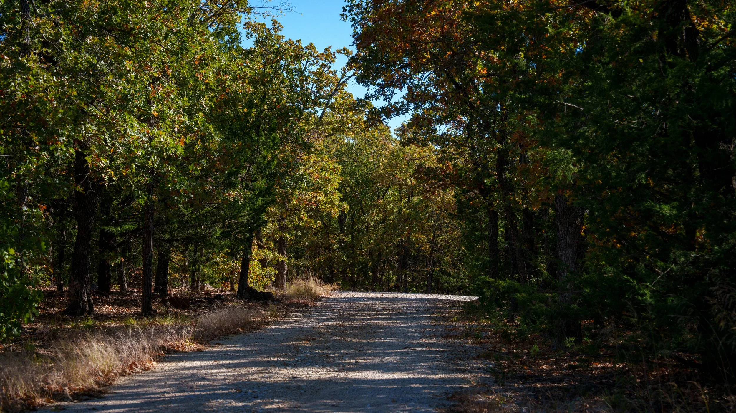 Copy of Copy of Copy of Red Hill Ranch -053.jpg